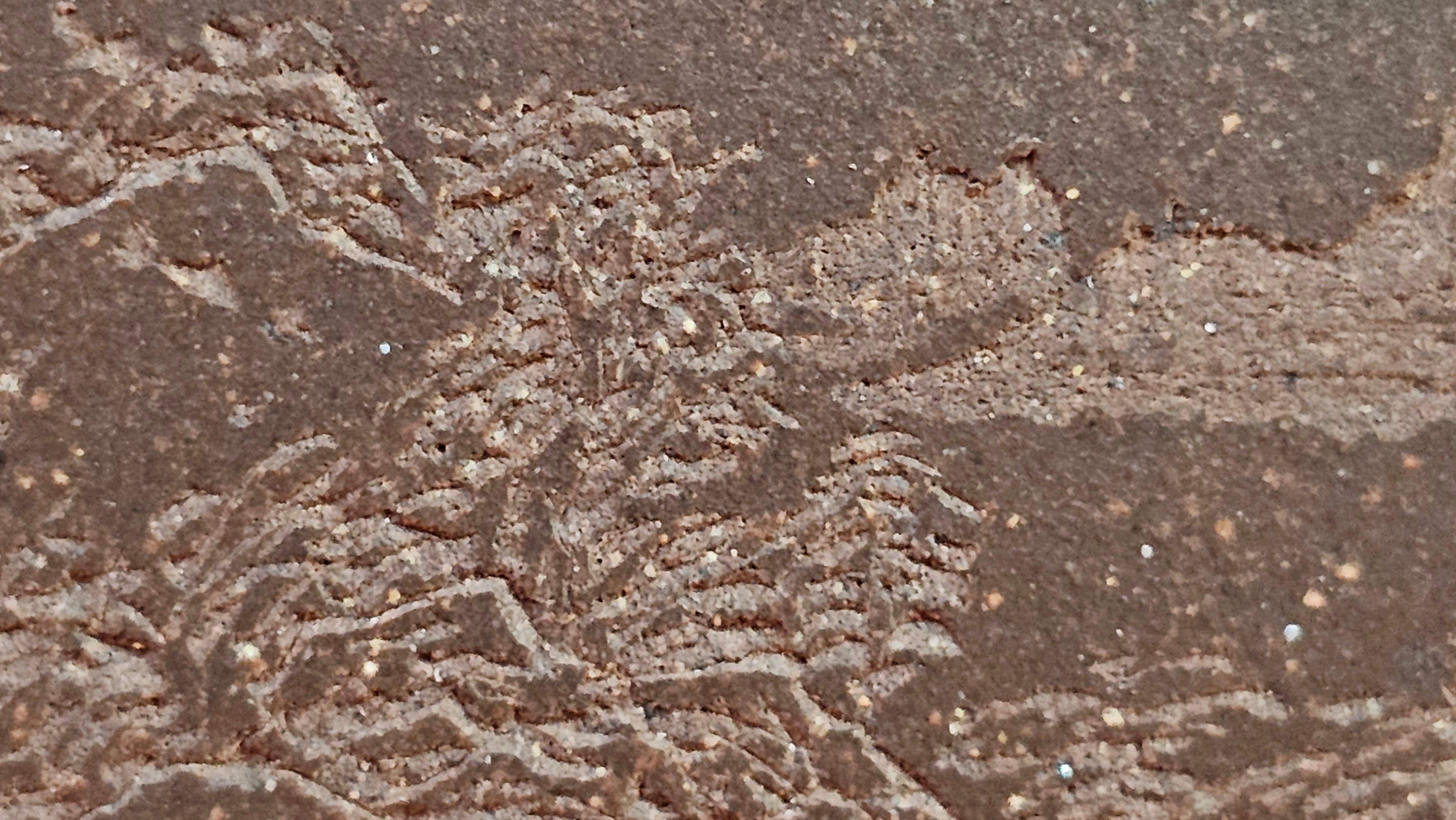 《清贡扇形盆》"Qing Gong Shan Xing Pen ~ Qing Style Fan-Shape Open Configuration", Di Cao Qing Zi Ni, by L2A Senior Consummate Artist Yuan Hui 高级振兴技艺师兼高级工艺美术师～袁辉。