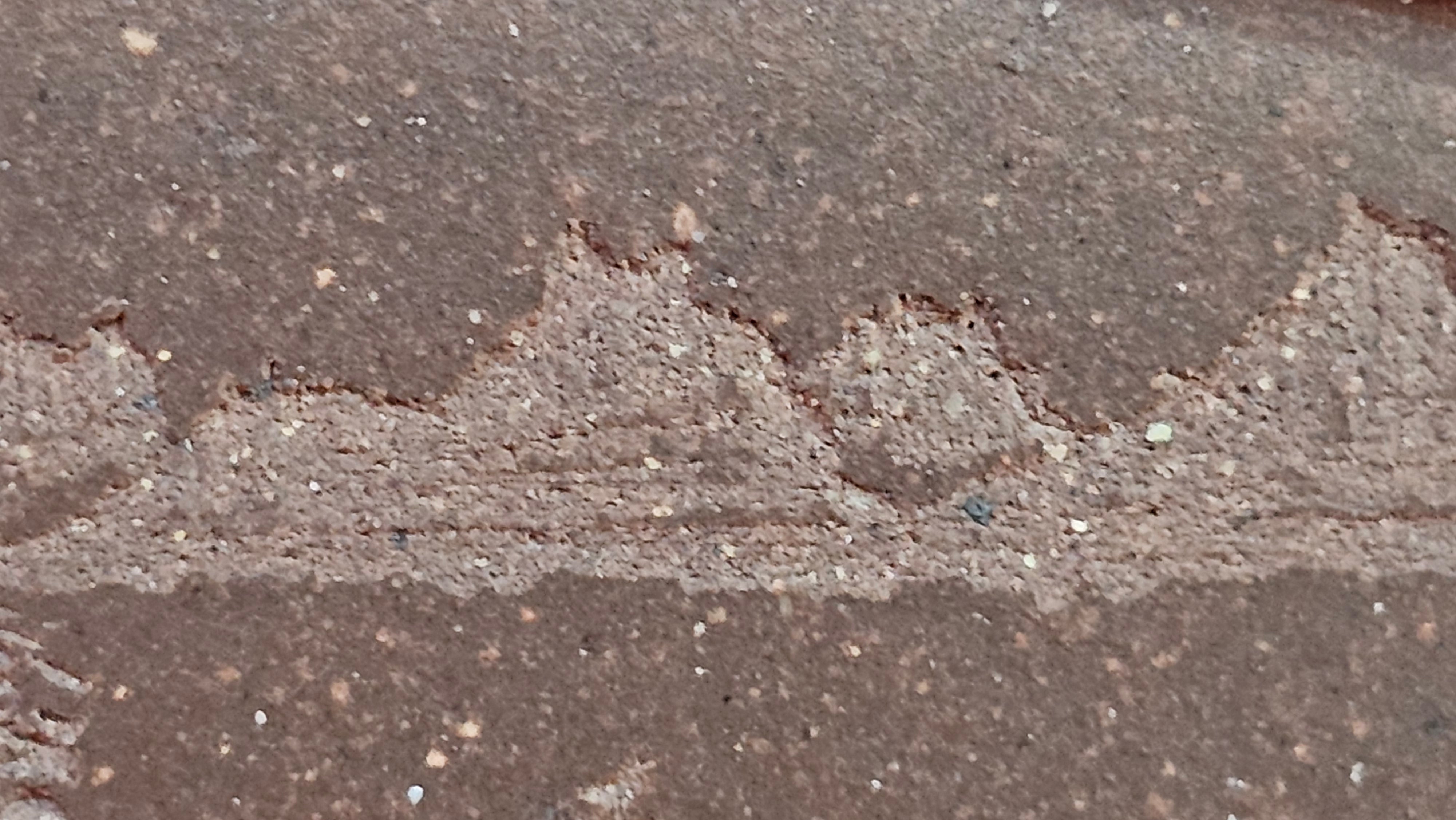 《清贡扇形盆》"Qing Gong Shan Xing Pen ~ Qing Style Fan-Shape Open Configuration", Di Cao Qing Zi Ni, by L2A Senior Consummate Artist Yuan Hui 高级振兴技艺师兼高级工艺美术师～袁辉。