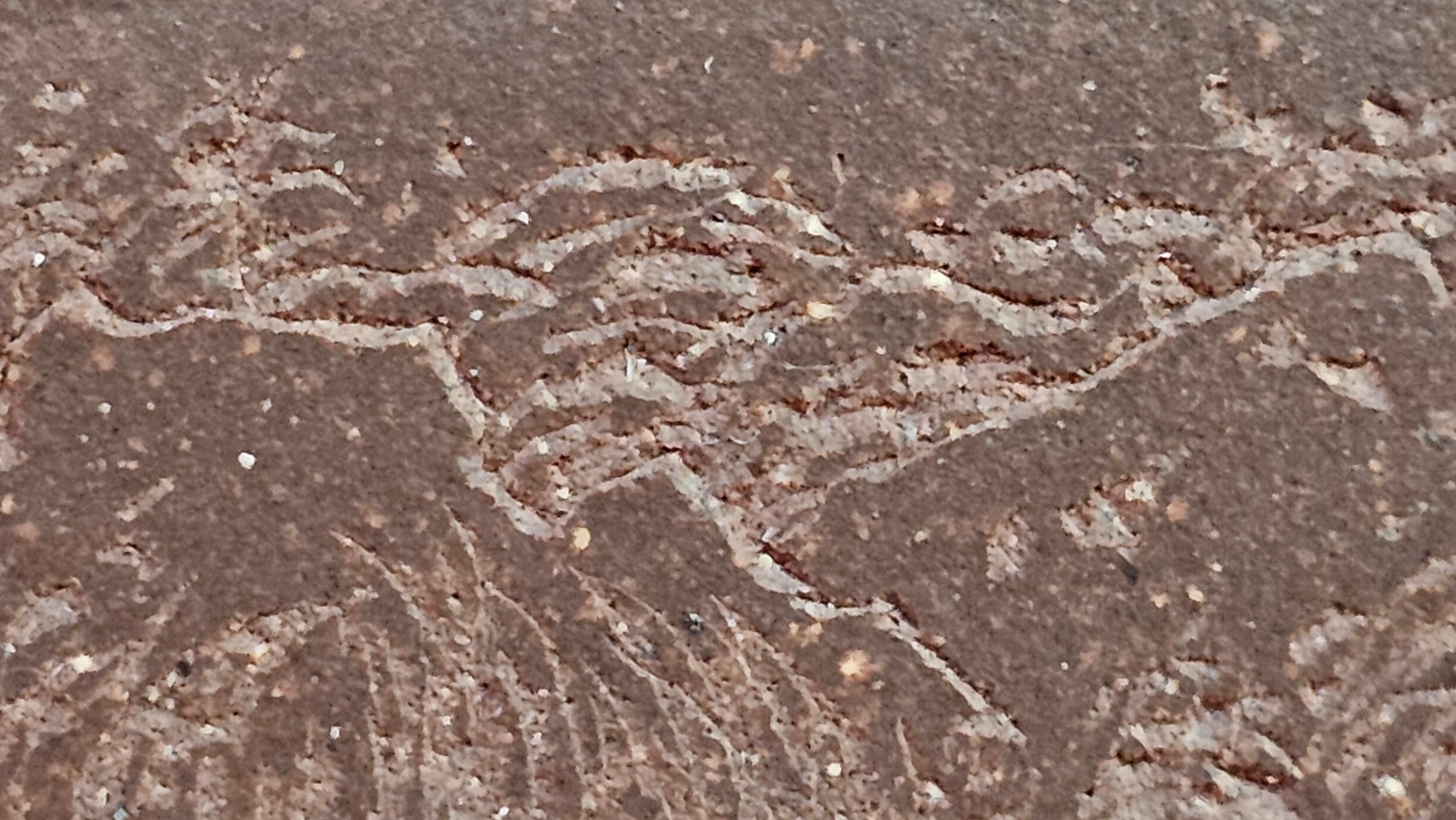 《清贡扇形盆》"Qing Gong Shan Xing Pen ~ Qing Style Fan-Shape Open Configuration", Di Cao Qing Zi Ni, by L2A Senior Consummate Artist Yuan Hui 高级振兴技艺师兼高级工艺美术师～袁辉。