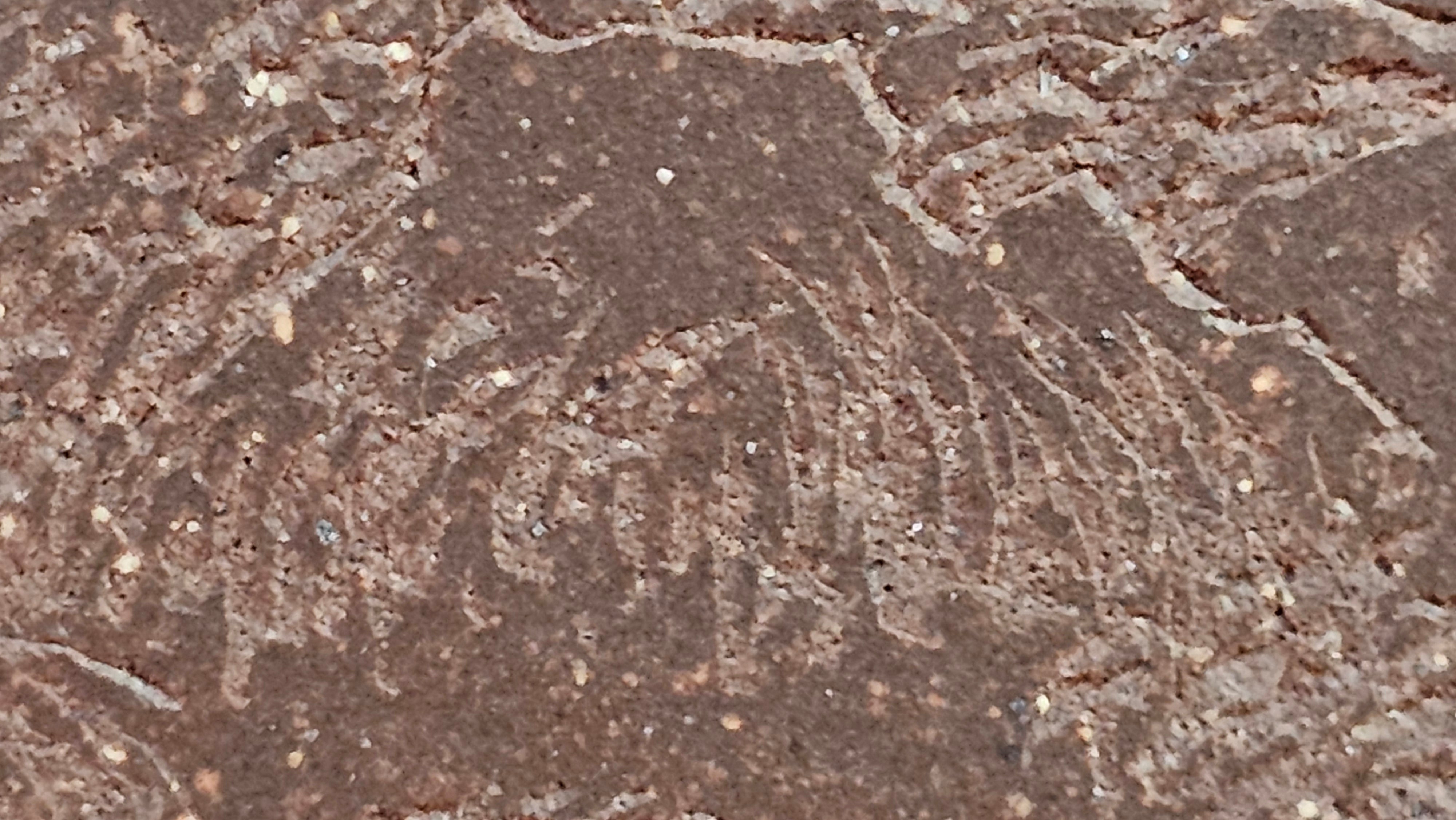 《清贡扇形盆》"Qing Gong Shan Xing Pen ~ Qing Style Fan-Shape Open Configuration", Di Cao Qing Zi Ni, by L2A Senior Consummate Artist Yuan Hui 高级振兴技艺师兼高级工艺美术师～袁辉。