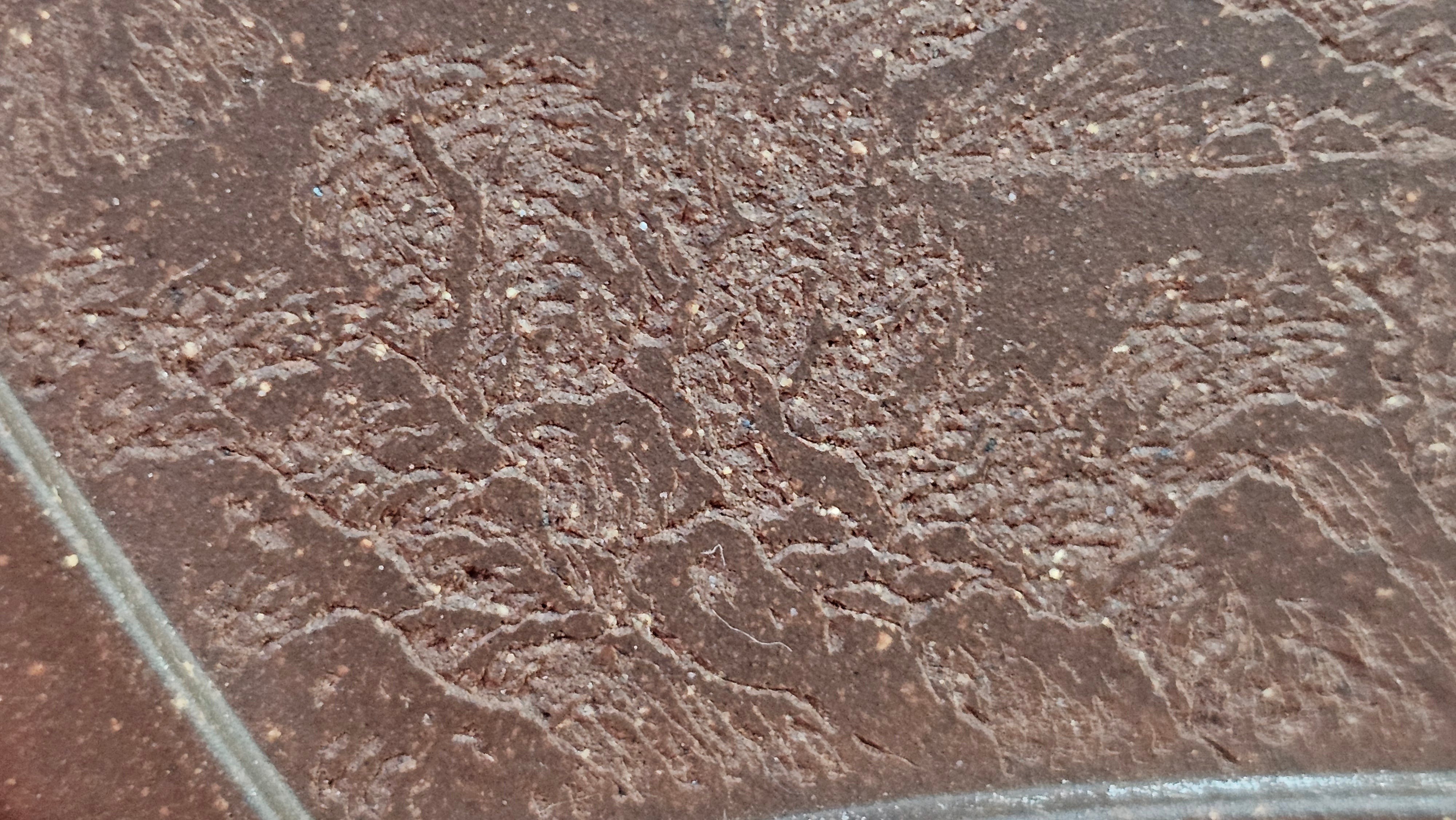 《清贡扇形盆》"Qing Gong Shan Xing Pen ~ Qing Style Fan-Shape Open Configuration", Di Cao Qing Zi Ni, by L2A Senior Consummate Artist Yuan Hui 高级振兴技艺师兼高级工艺美术师～袁辉。