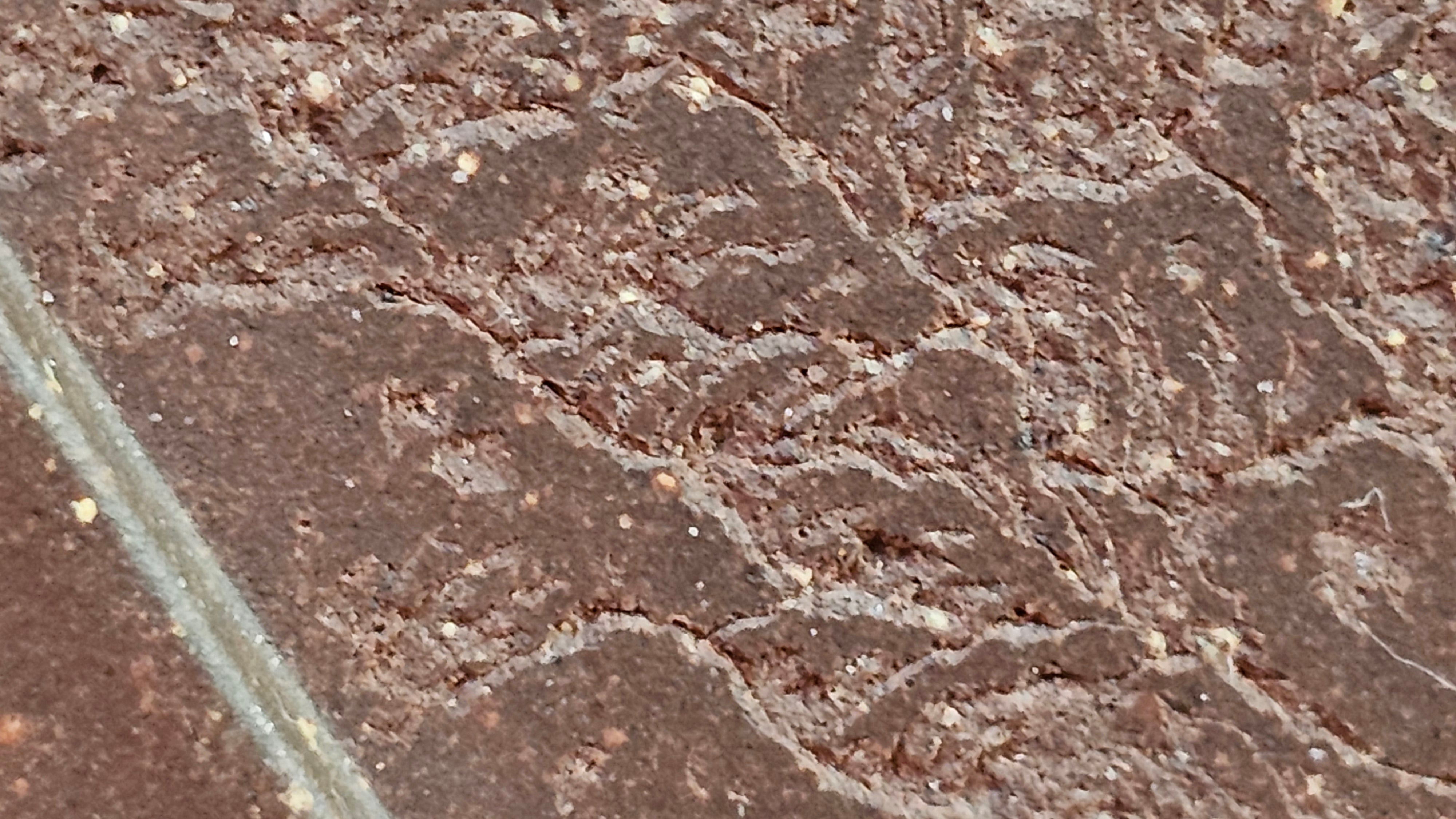 《清贡扇形盆》"Qing Gong Shan Xing Pen ~ Qing Style Fan-Shape Open Configuration", Di Cao Qing Zi Ni, by L2A Senior Consummate Artist Yuan Hui 高级振兴技艺师兼高级工艺美术师～袁辉。