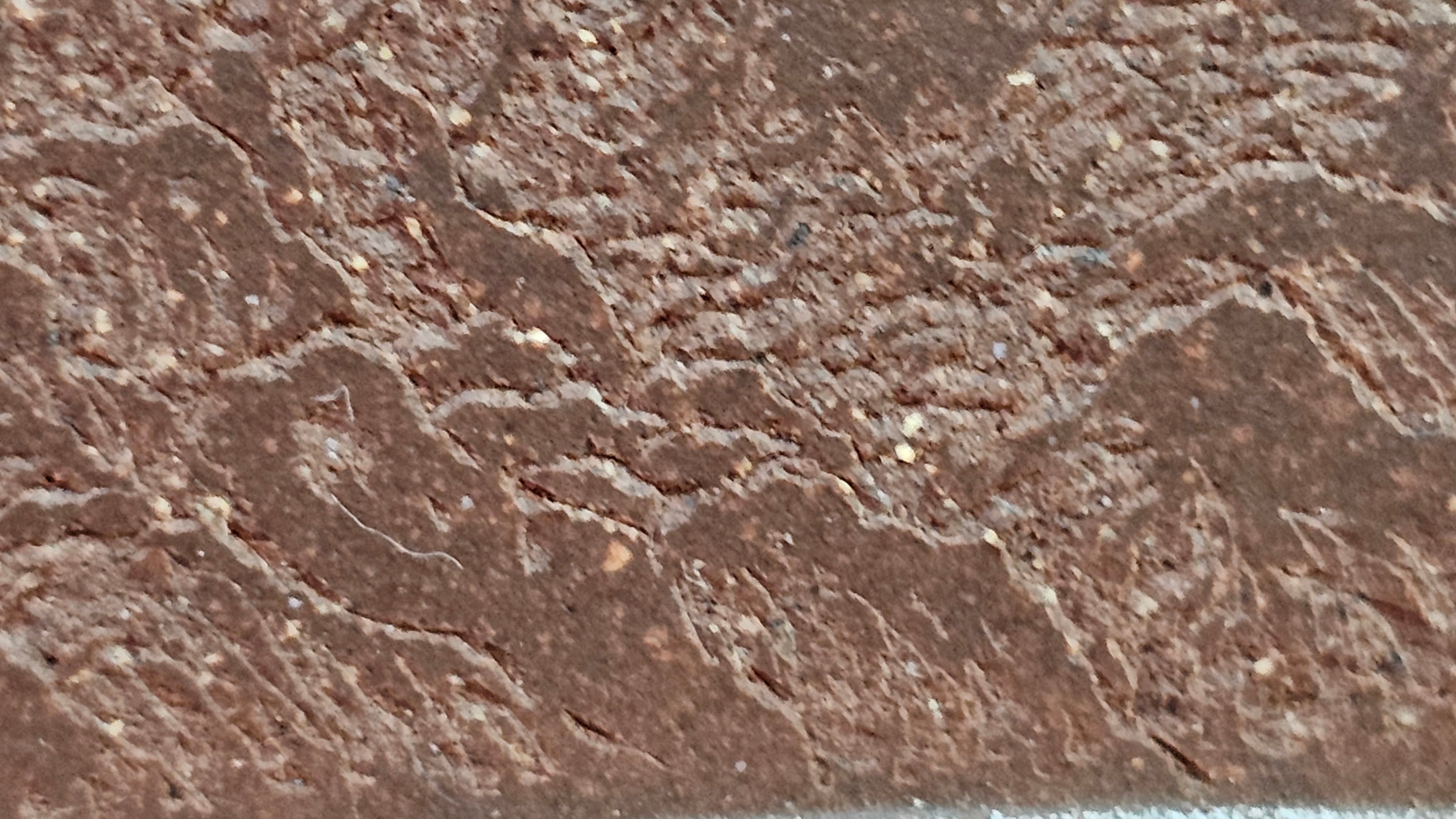 《清贡扇形盆》"Qing Gong Shan Xing Pen ~ Qing Style Fan-Shape Open Configuration", Di Cao Qing Zi Ni, by L2A Senior Consummate Artist Yuan Hui 高级振兴技艺师兼高级工艺美术师～袁辉。