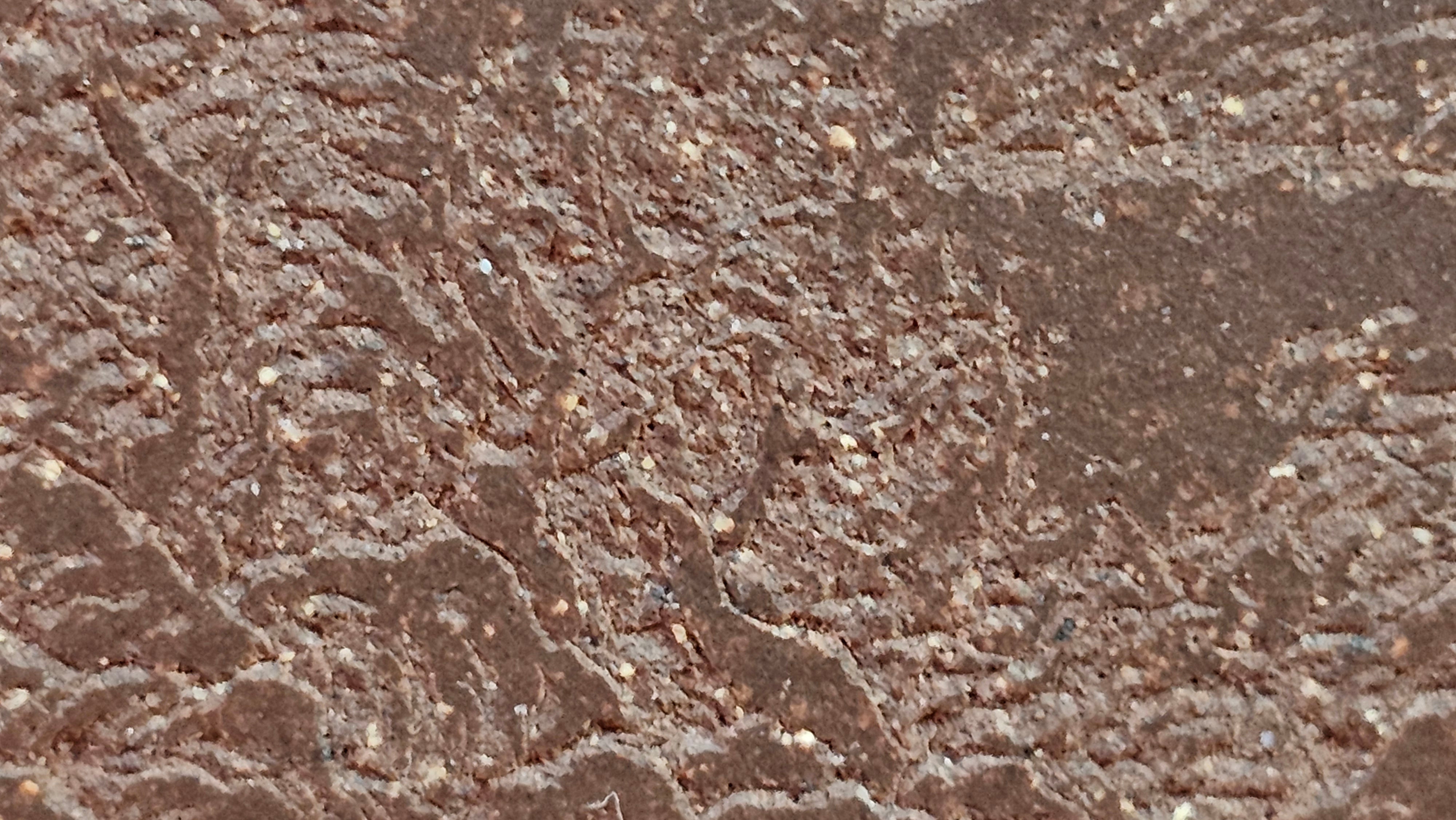 《清贡扇形盆》"Qing Gong Shan Xing Pen ~ Qing Style Fan-Shape Open Configuration", Di Cao Qing Zi Ni, by L2A Senior Consummate Artist Yuan Hui 高级振兴技艺师兼高级工艺美术师～袁辉。