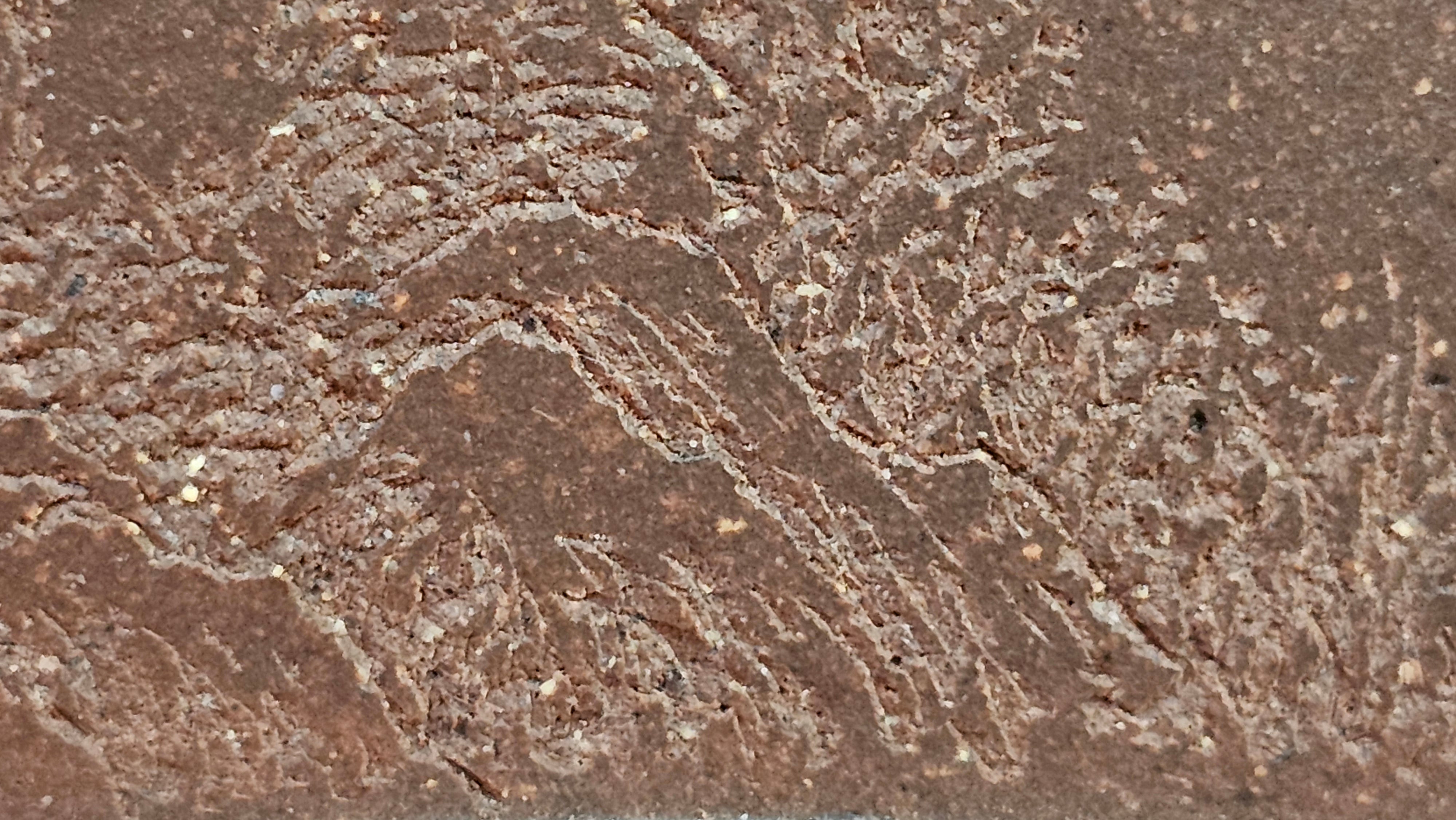 《清贡扇形盆》"Qing Gong Shan Xing Pen ~ Qing Style Fan-Shape Open Configuration", Di Cao Qing Zi Ni, by L2A Senior Consummate Artist Yuan Hui 高级振兴技艺师兼高级工艺美术师～袁辉。