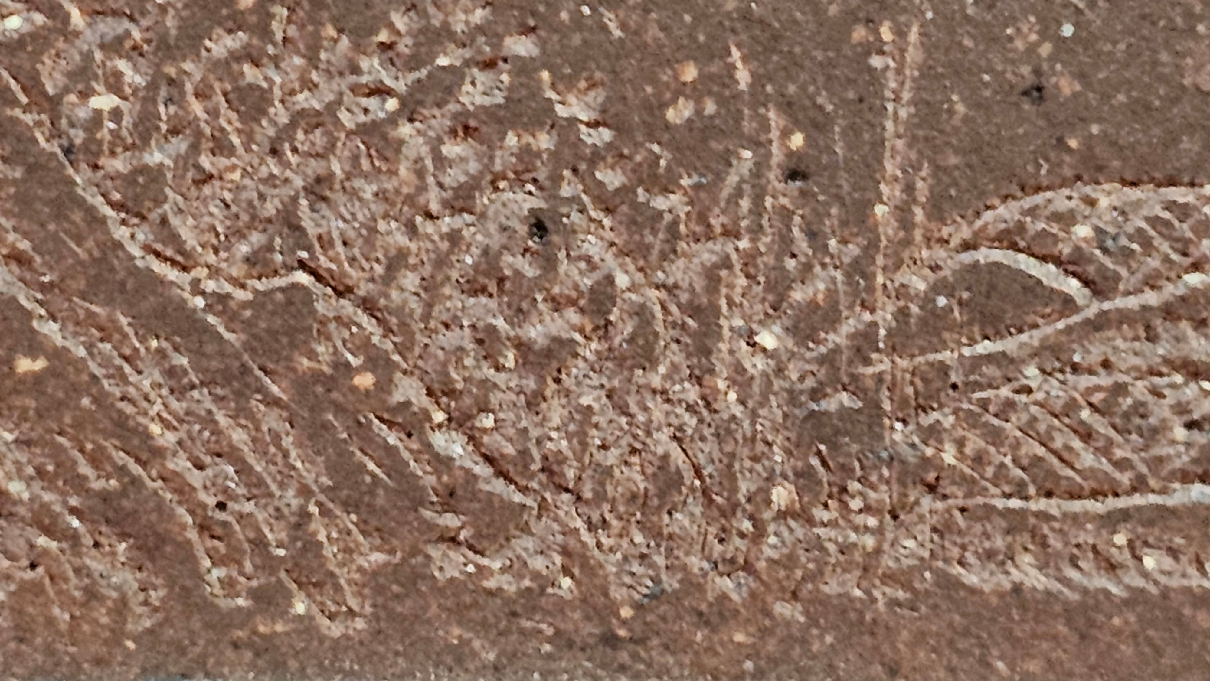 《清贡扇形盆》"Qing Gong Shan Xing Pen ~ Qing Style Fan-Shape Open Configuration", Di Cao Qing Zi Ni, by L2A Senior Consummate Artist Yuan Hui 高级振兴技艺师兼高级工艺美术师～袁辉。