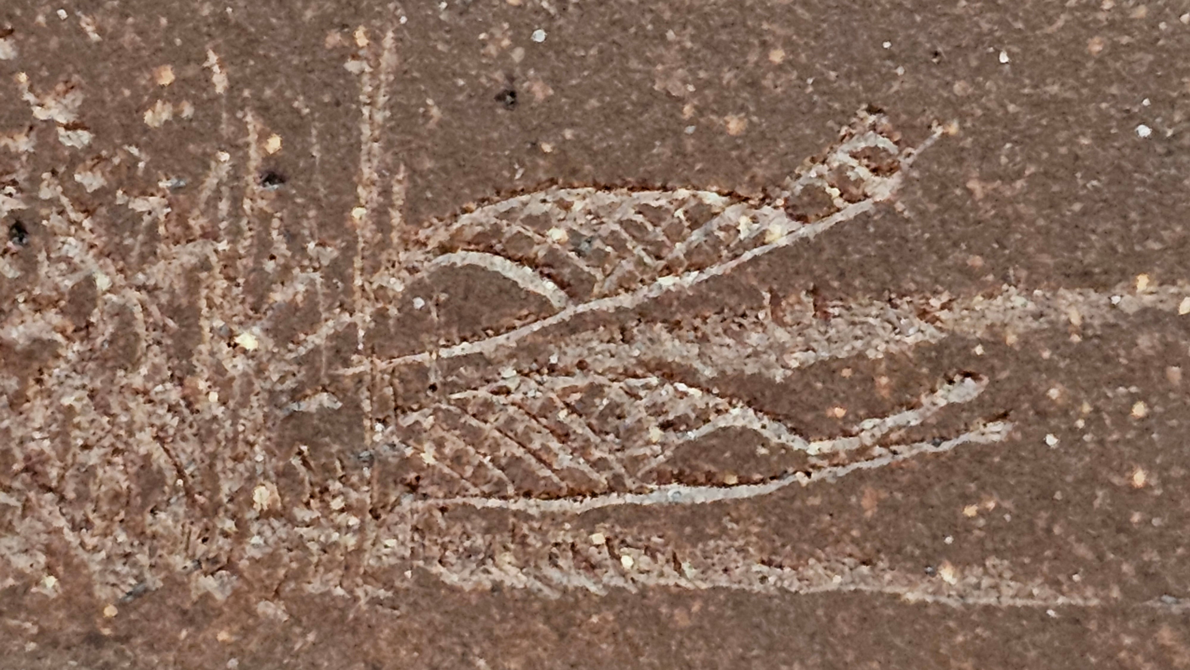 《清贡扇形盆》"Qing Gong Shan Xing Pen ~ Qing Style Fan-Shape Open Configuration", Di Cao Qing Zi Ni, by L2A Senior Consummate Artist Yuan Hui 高级振兴技艺师兼高级工艺美术师～袁辉。