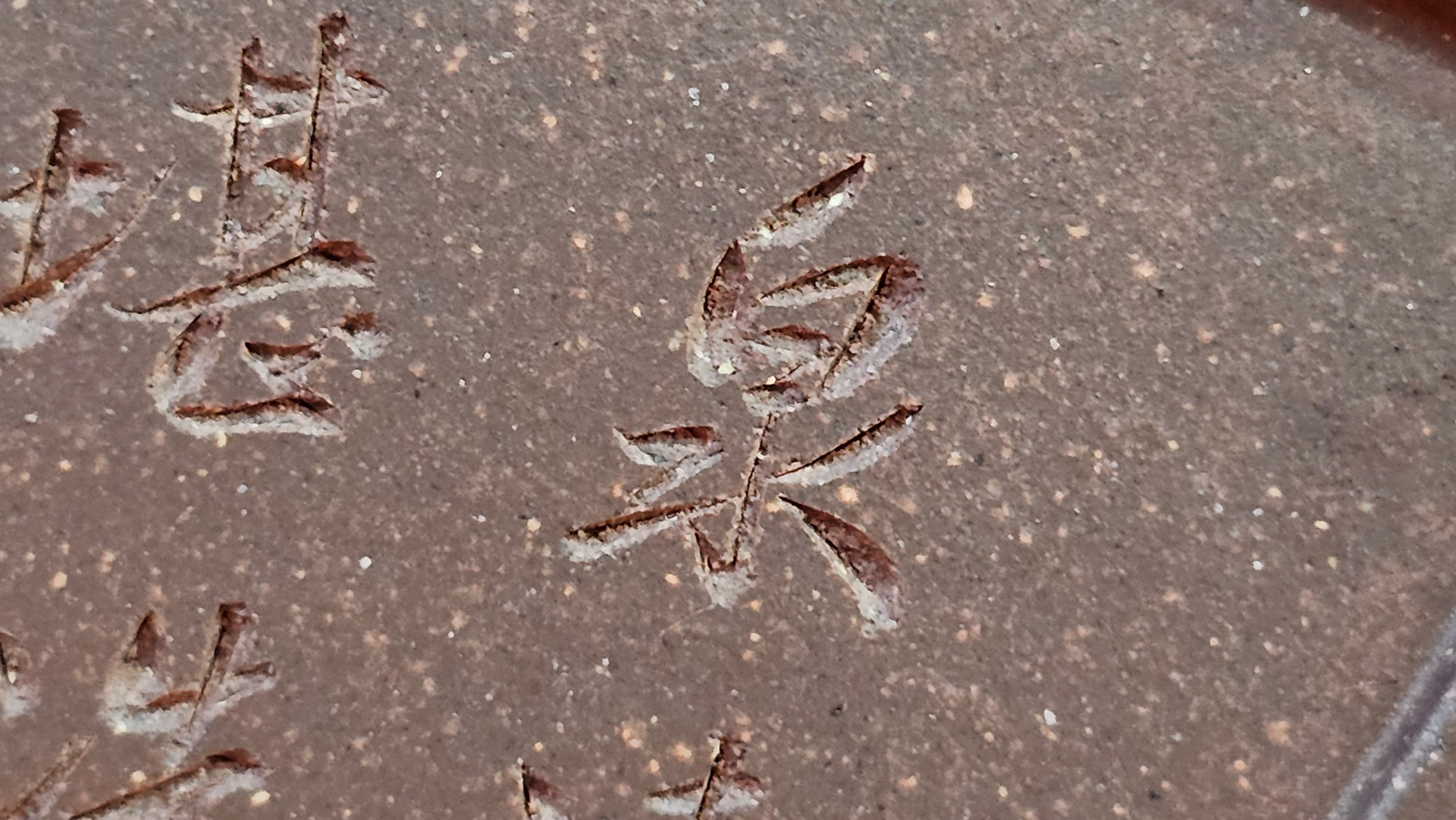 《清贡扇形盆》"Qing Gong Shan Xing Pen ~ Qing Style Fan-Shape Open Configuration", Di Cao Qing Zi Ni, by L2A Senior Consummate Artist Yuan Hui 高级振兴技艺师兼高级工艺美术师～袁辉。
