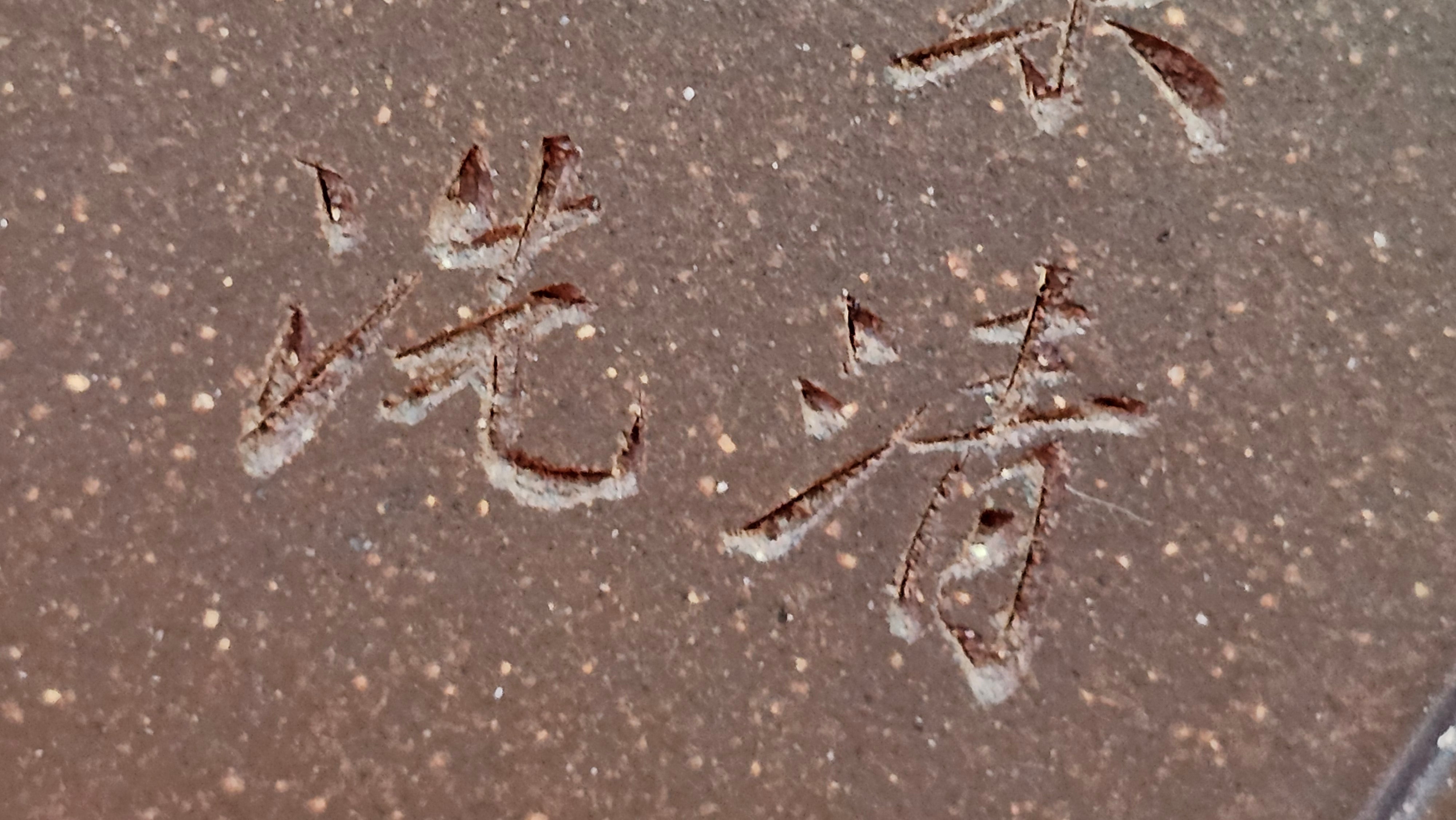 《清贡扇形盆》"Qing Gong Shan Xing Pen ~ Qing Style Fan-Shape Open Configuration", Di Cao Qing Zi Ni, by L2A Senior Consummate Artist Yuan Hui 高级振兴技艺师兼高级工艺美术师～袁辉。