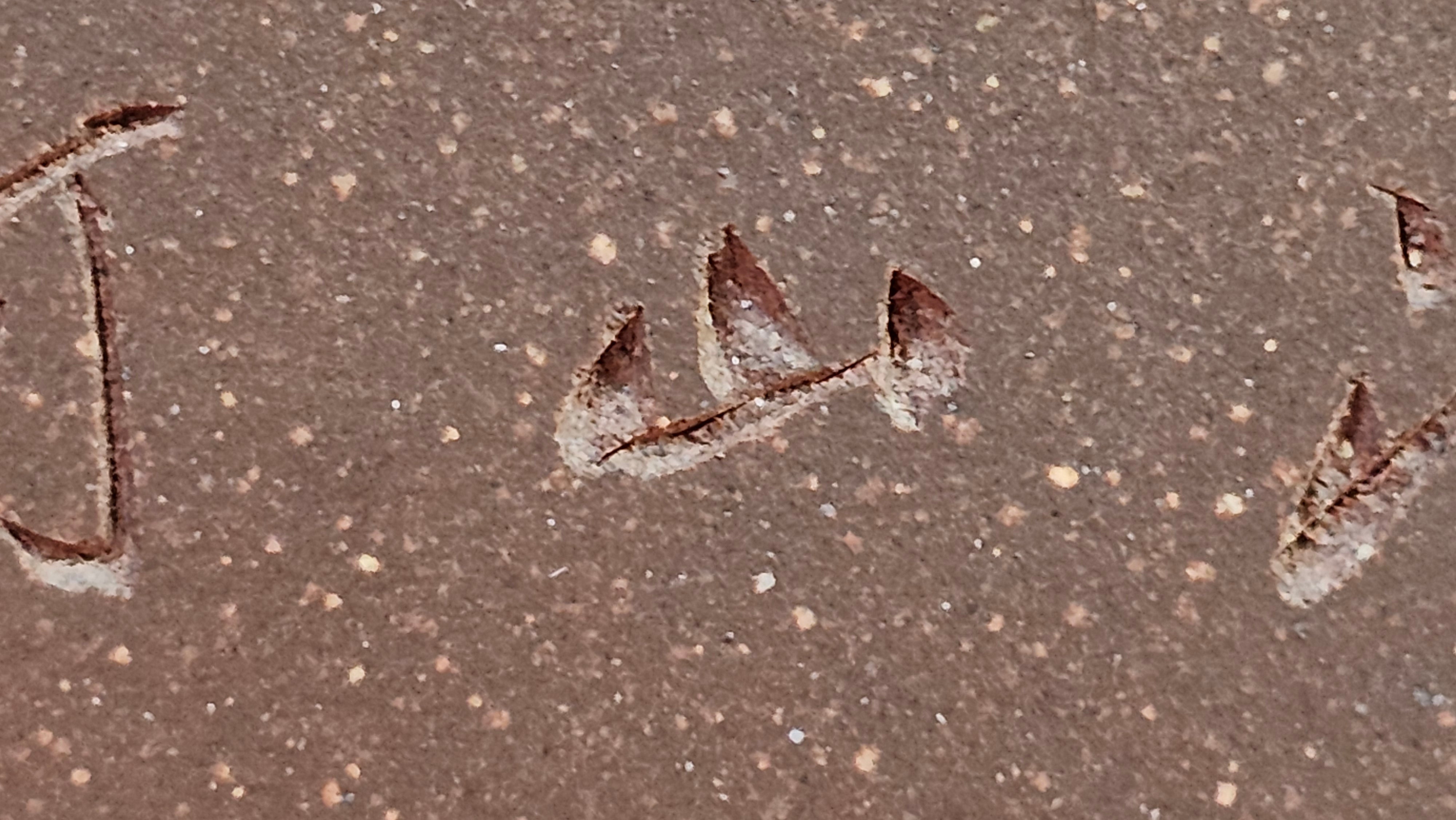 《清贡扇形盆》"Qing Gong Shan Xing Pen ~ Qing Style Fan-Shape Open Configuration", Di Cao Qing Zi Ni, by L2A Senior Consummate Artist Yuan Hui 高级振兴技艺师兼高级工艺美术师～袁辉。