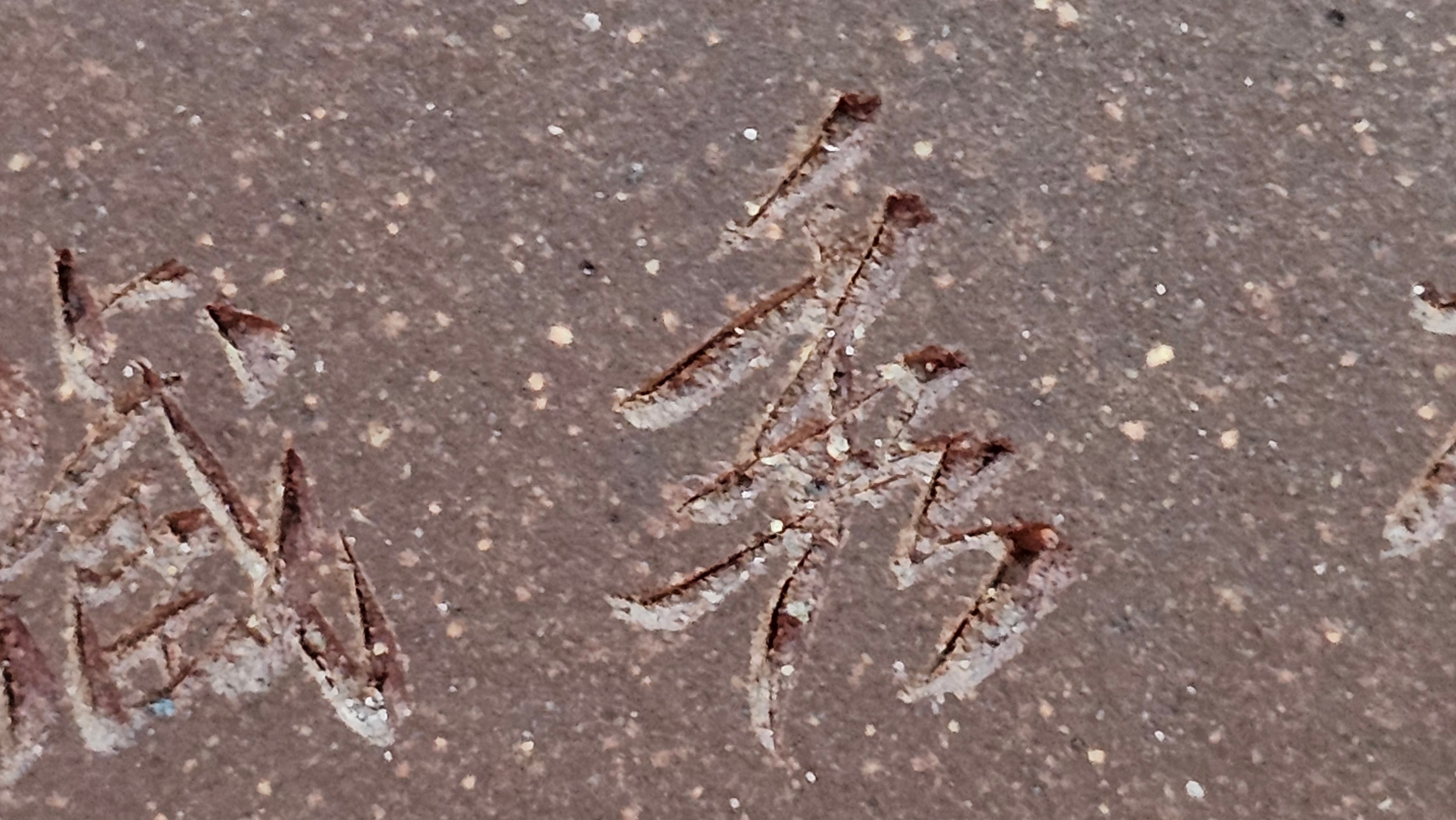 《清贡扇形盆》"Qing Gong Shan Xing Pen ~ Qing Style Fan-Shape Open Configuration", Di Cao Qing Zi Ni, by L2A Senior Consummate Artist Yuan Hui 高级振兴技艺师兼高级工艺美术师～袁辉。