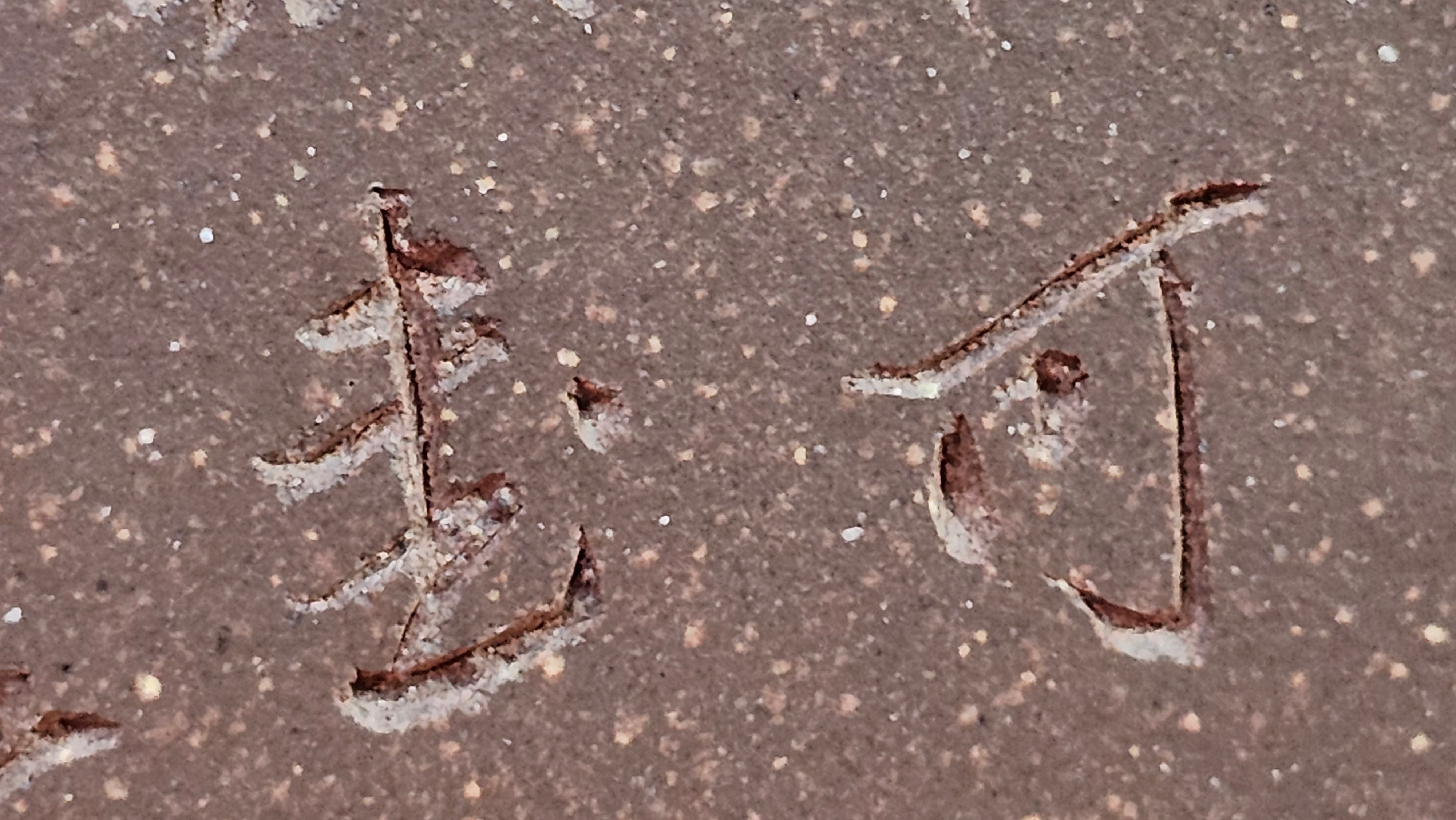 《清贡扇形盆》"Qing Gong Shan Xing Pen ~ Qing Style Fan-Shape Open Configuration", Di Cao Qing Zi Ni, by L2A Senior Consummate Artist Yuan Hui 高级振兴技艺师兼高级工艺美术师～袁辉。