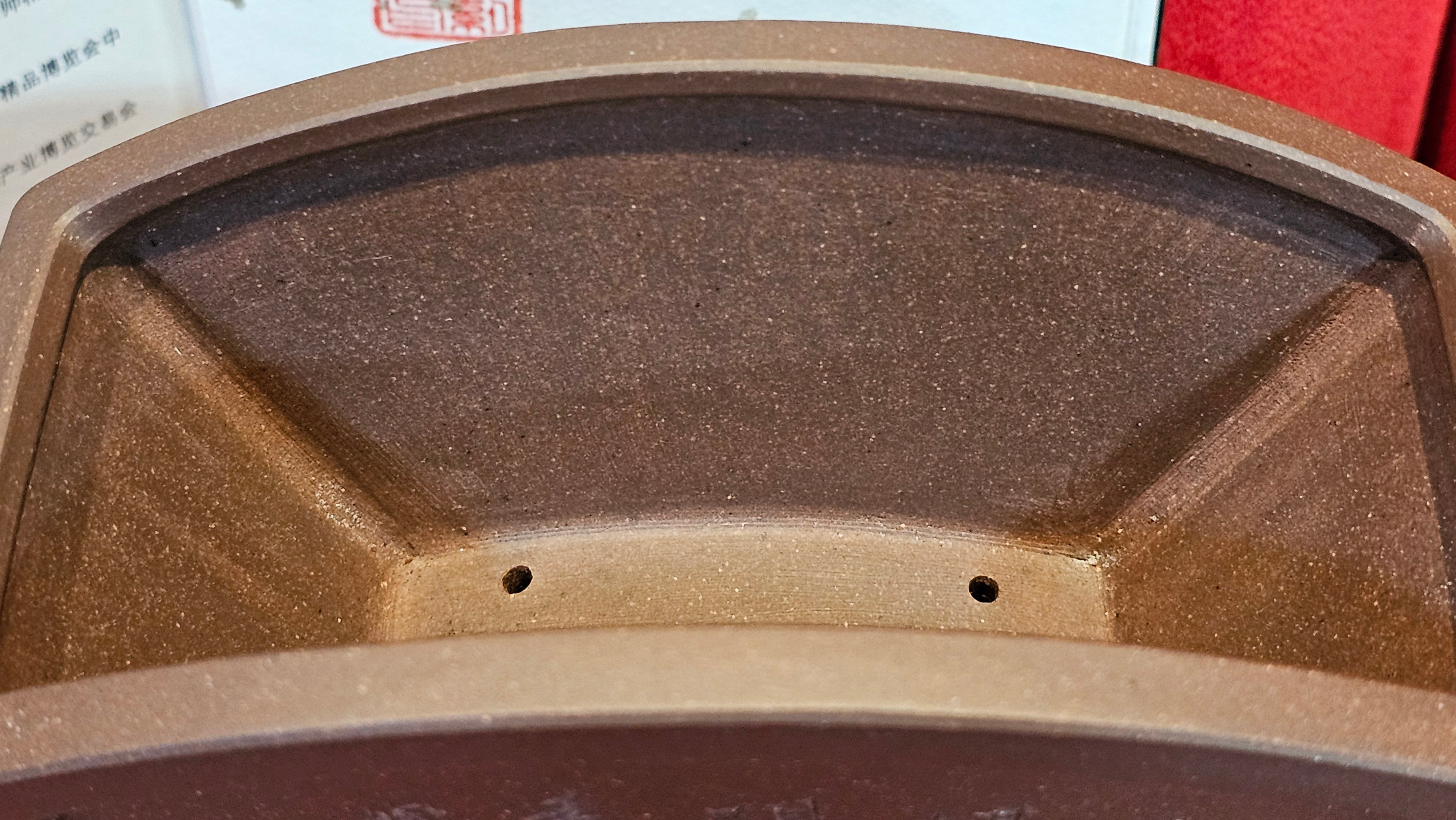 《清贡扇形盆》"Qing Gong Shan Xing Pen ~ Qing Style Fan-Shape Open Configuration", Di Cao Qing Zi Ni, by L2A Senior Consummate Artist Yuan Hui 高级振兴技艺师兼高级工艺美术师～袁辉。