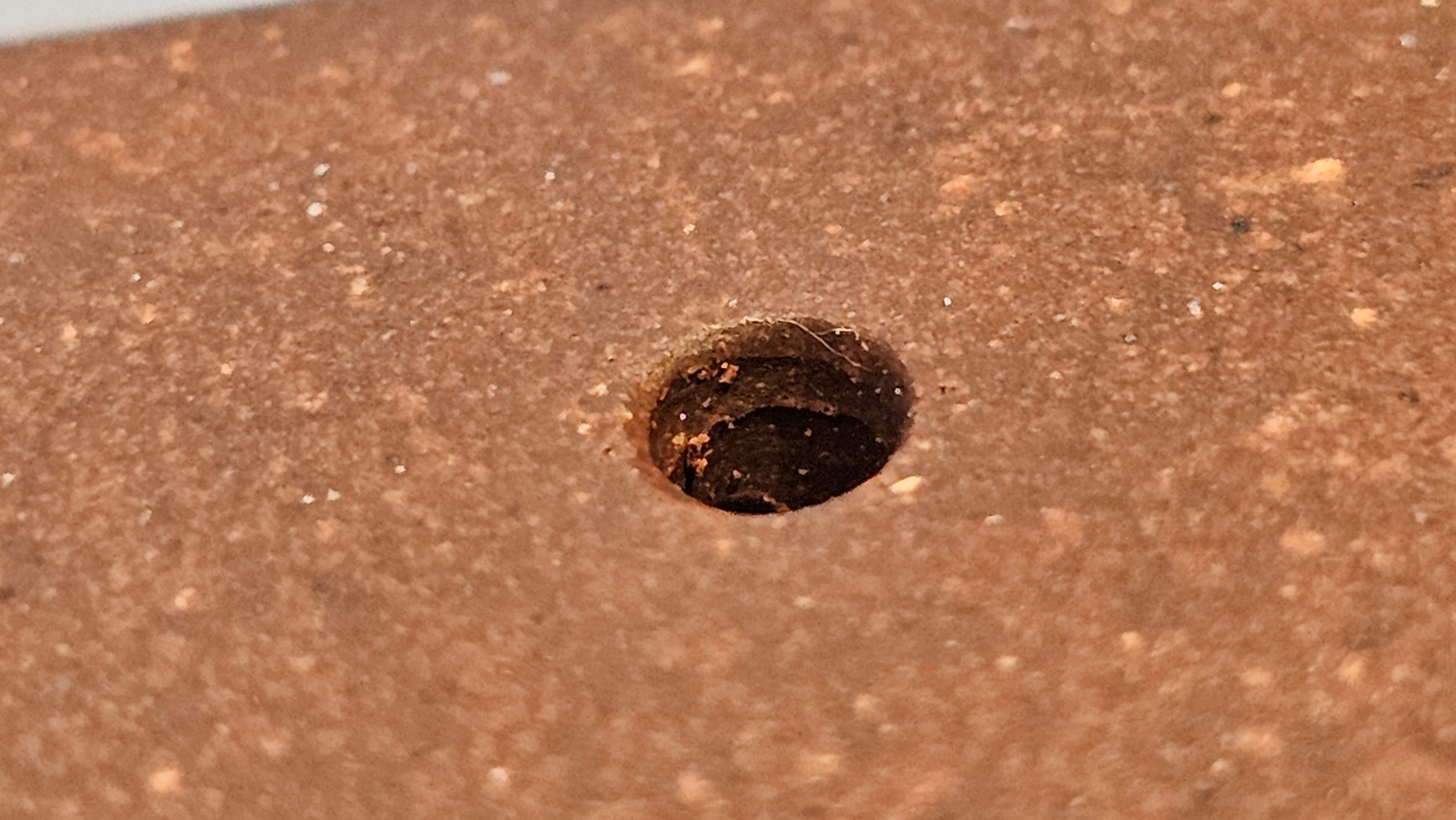 《清贡扇形盆》"Qing Gong Shan Xing Pen ~ Qing Style Fan-Shape Open Configuration", Di Cao Qing Zi Ni, by L2A Senior Consummate Artist Yuan Hui 高级振兴技艺师兼高级工艺美术师～袁辉。