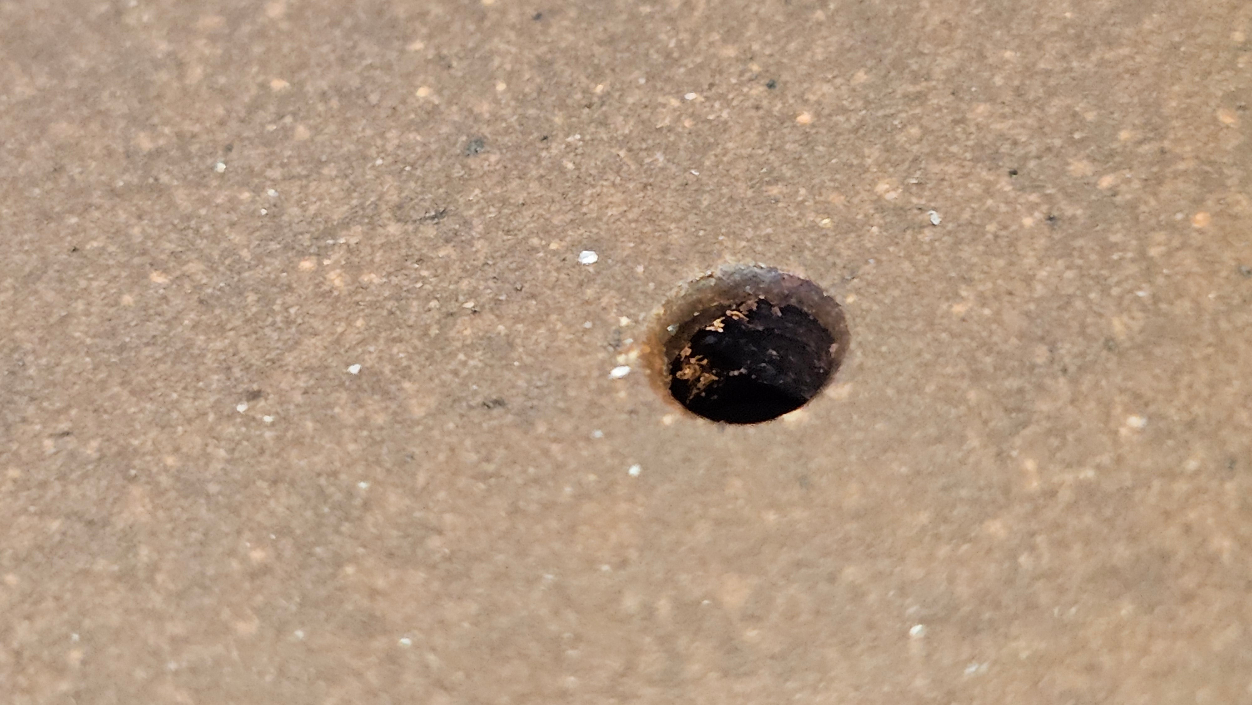 《清贡扇形盆》"Qing Gong Shan Xing Pen ~ Qing Style Fan-Shape Open Configuration", Di Cao Qing Zi Ni, by L2A Senior Consummate Artist Yuan Hui 高级振兴技艺师兼高级工艺美术师～袁辉。