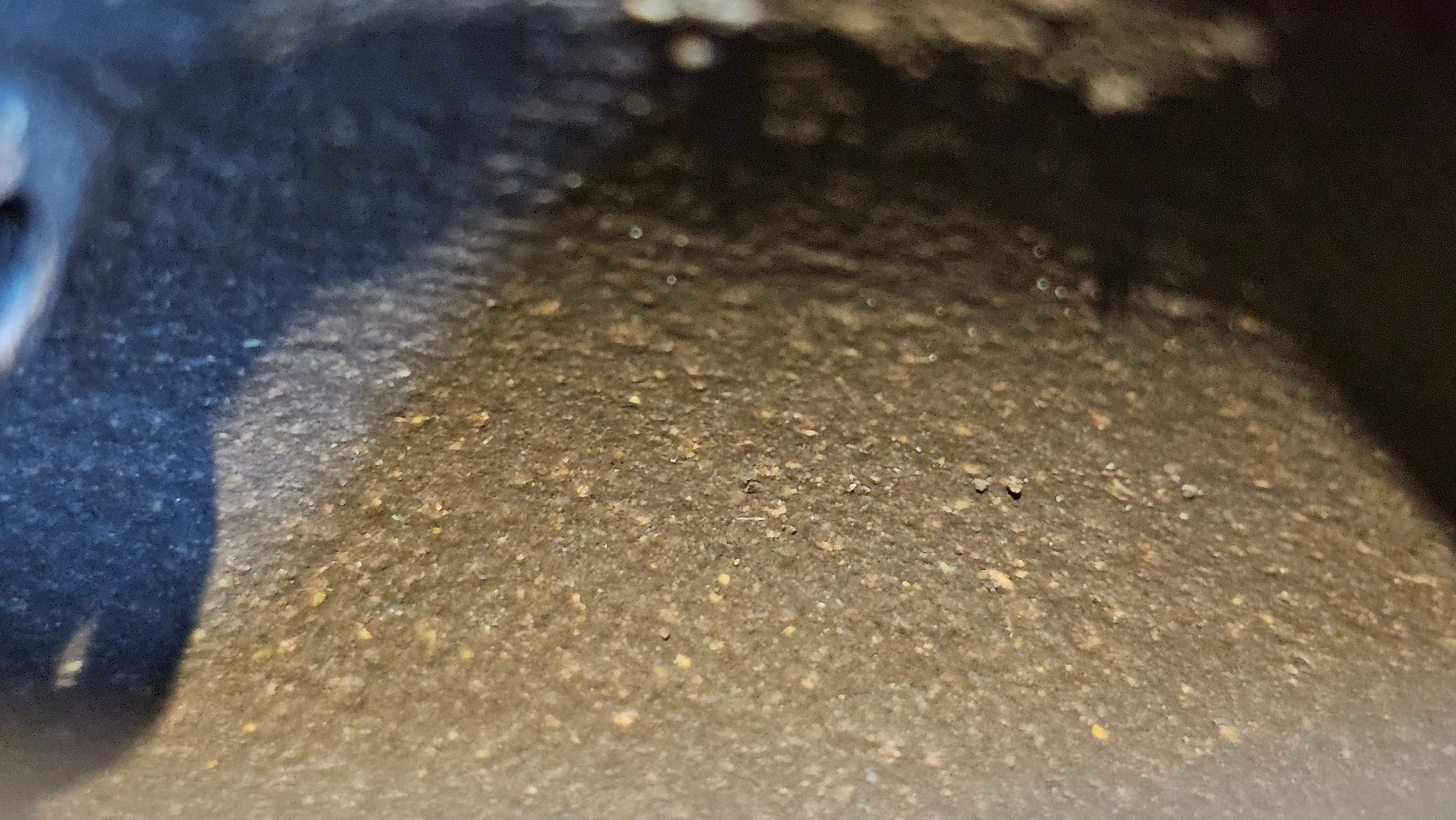 Qie Gua《茄瓜》~ "The Gourd", 153.3ml, Hei Zi Ni 黑紫泥, by our Craftsman Zhang Huan 张欢, Calligraphy and Lotus Flower Engraving by Craftsman Yi Cheng 逸成 ~ Congratulations to Mr W.K.! 1941hrs 20th Oct 2025, Austin! TX!