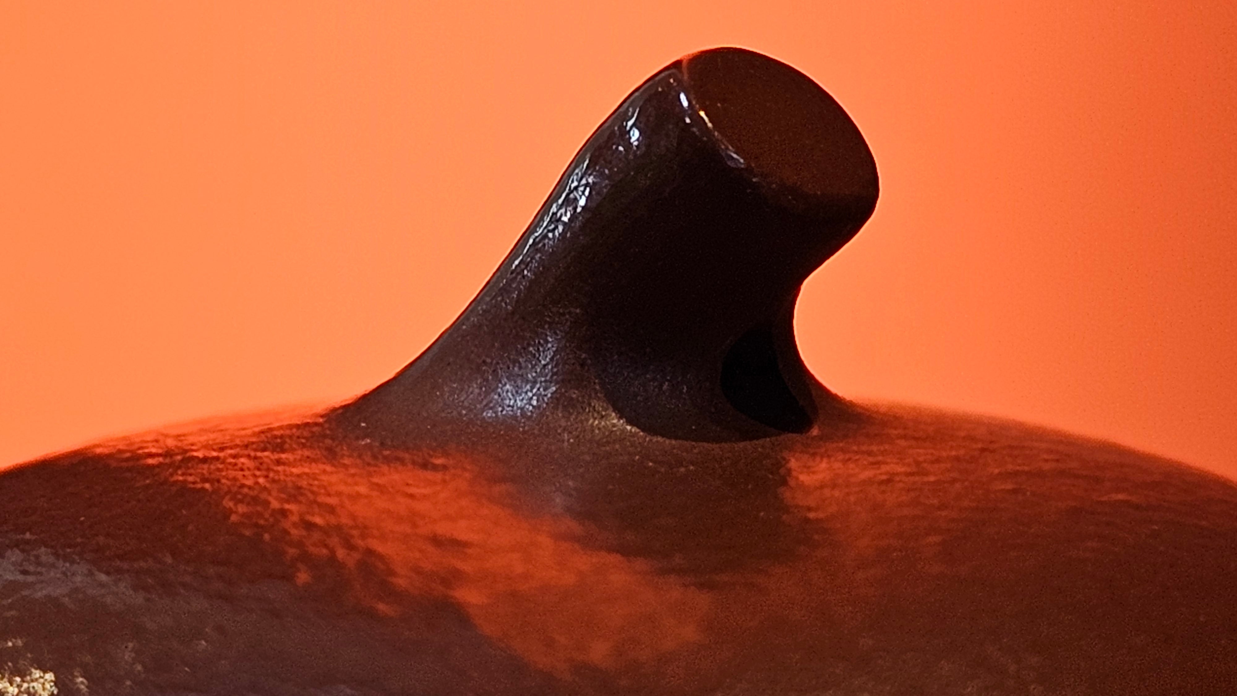 Qie Gua 茄瓜, 156.2ml, Xiao Mei Yao Zhu Ni, by Craftsman Wang Hui 王慧 ~ Congratulations to Mr K.S.! 2142hrs 25th Oct 2025, Greenville! SC!