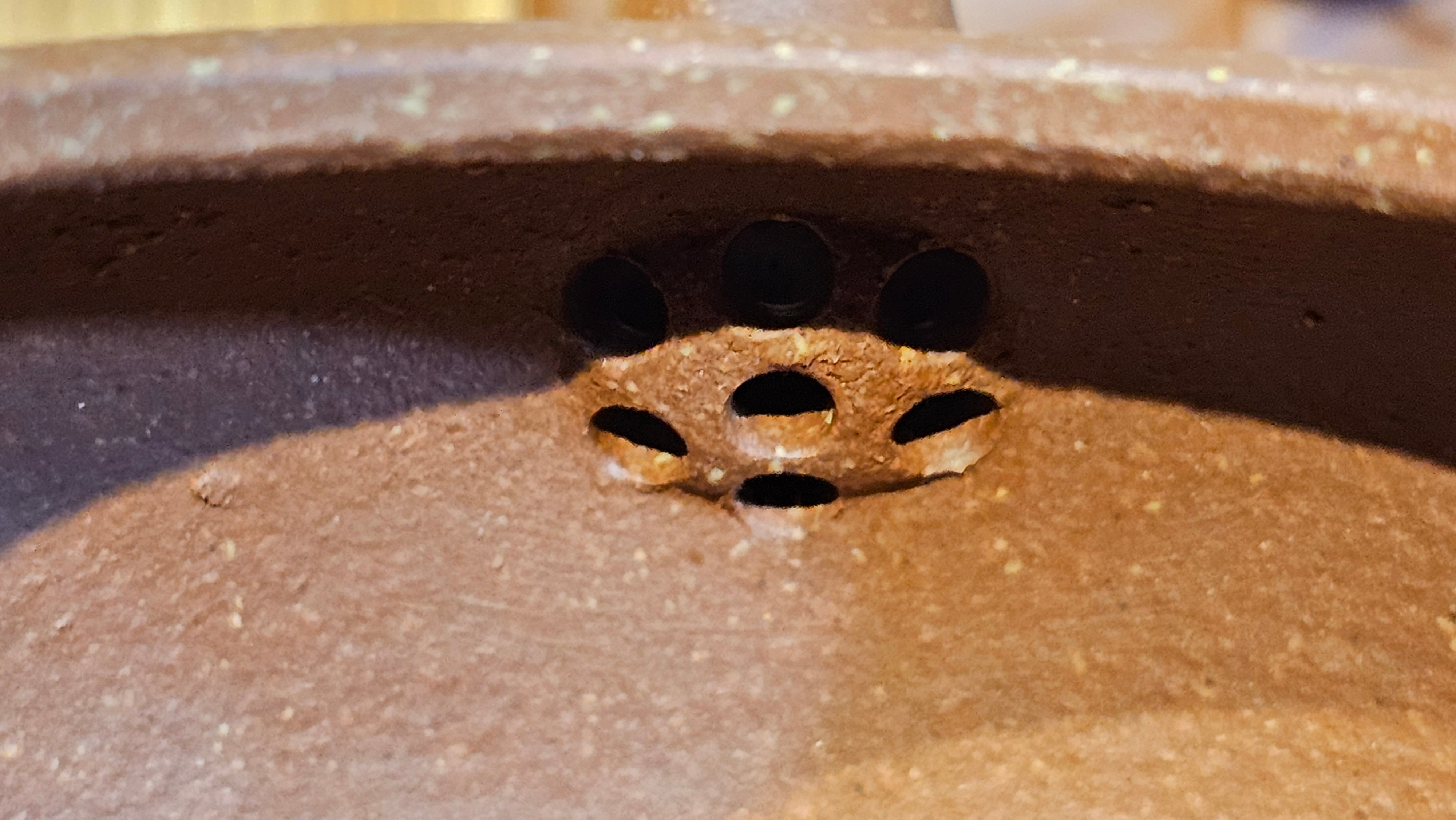 Lian Pu《莲蒲》, 163.7ml, Hong Jiang Po Ni 红降坡泥, by Craftsman Yang Pin Ting 杨聘婷 ~ Congratulations!to Ms J.C.! 1500hrs 26th Oct 2025, Los Angeles, CA!