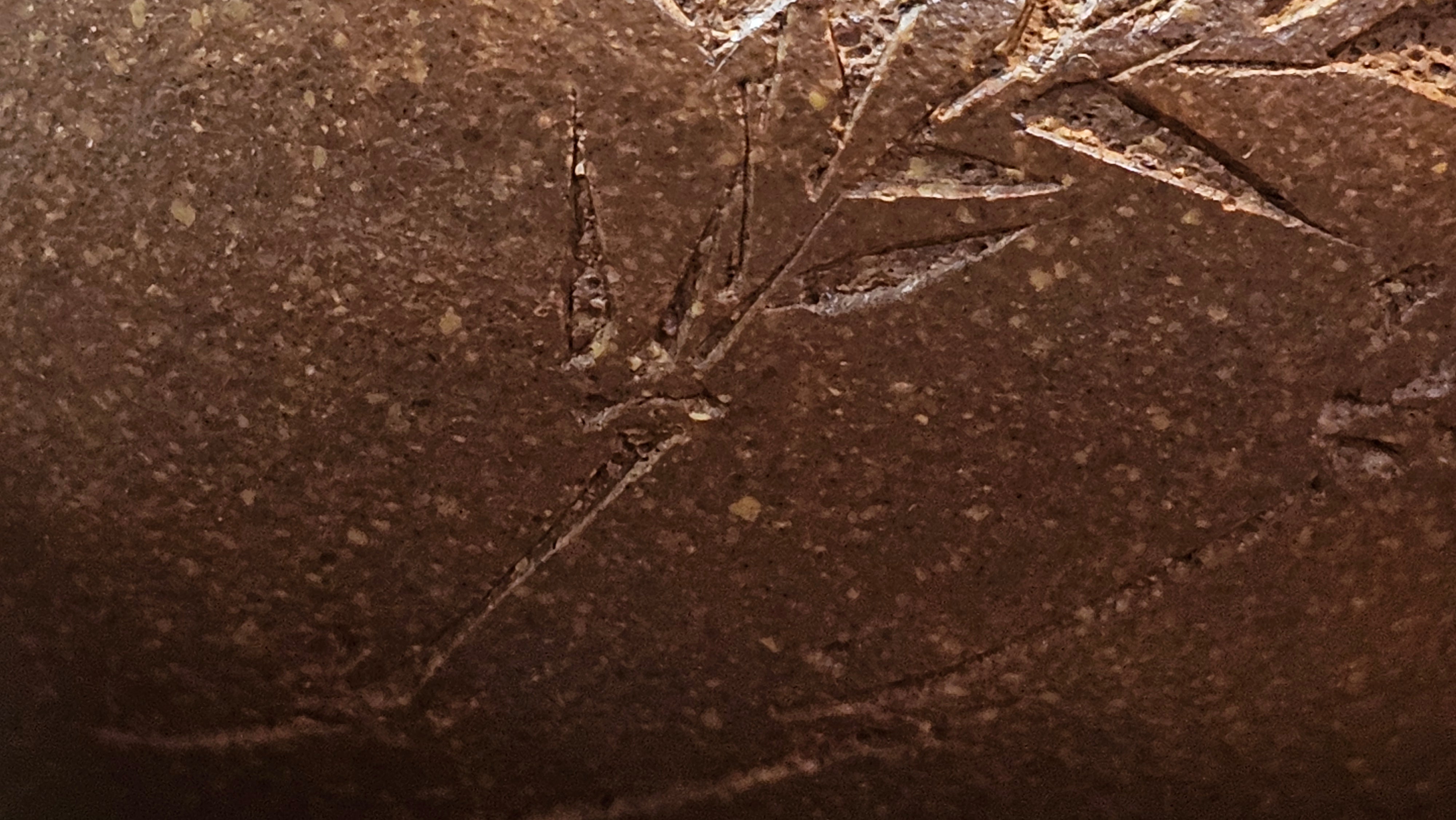 《一叶知秋》Yi Ye Zhi Qiu ~ "The Autumn Leaf", 168.2ml, Bao Shan Duan Ni 宝山段泥, by our Craftsman Zhang Huan 张欢, Bamboo and Calligraphy Engraving by Craftsman Yi Cheng 逸成  ~ Congratulations to Mr G.T.! 1418hrs 24th Oct 2025, Singapore🇸🇬!