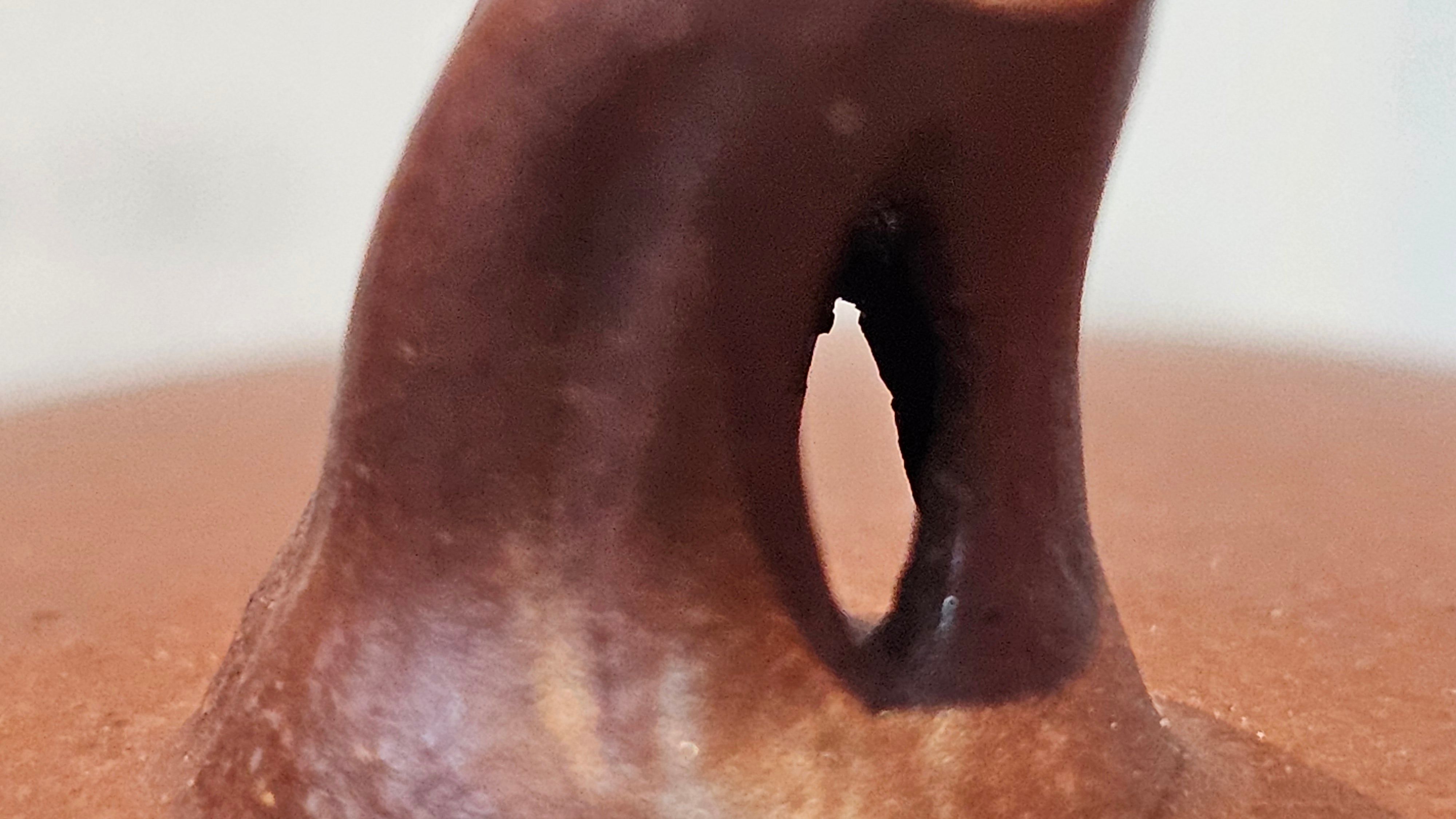 《茄瓜》"Qie Gua", 200.3ml, Di Cao Qing Zi Ni 底槽青紫泥 ~ Crafted by L3A Consummate Master Artist Li Yan Ru 李艳如 ~!Congratulations to Ms M.L., 1433hrs 25th Oct 2025, Phoenix! AZ!