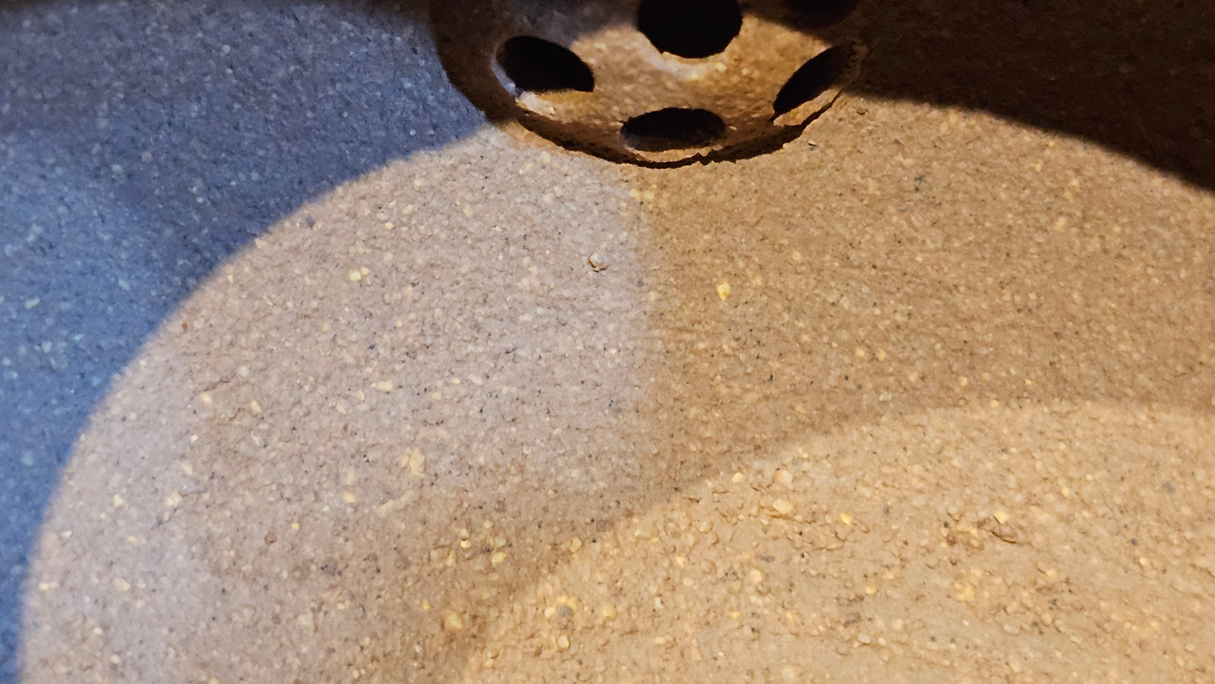 《一叶知秋》Yi Ye Zhi Qiu ~ "The Autumn Leaf", 168.2ml, Bao Shan Duan Ni 宝山段泥, by our Craftsman Zhang Huan 张欢, Bamboo and Calligraphy Engraving by Craftsman Yi Cheng 逸成  ~ Congratulations to Mr G.T.! 1418hrs 24th Oct 2025, Singapore🇸🇬!