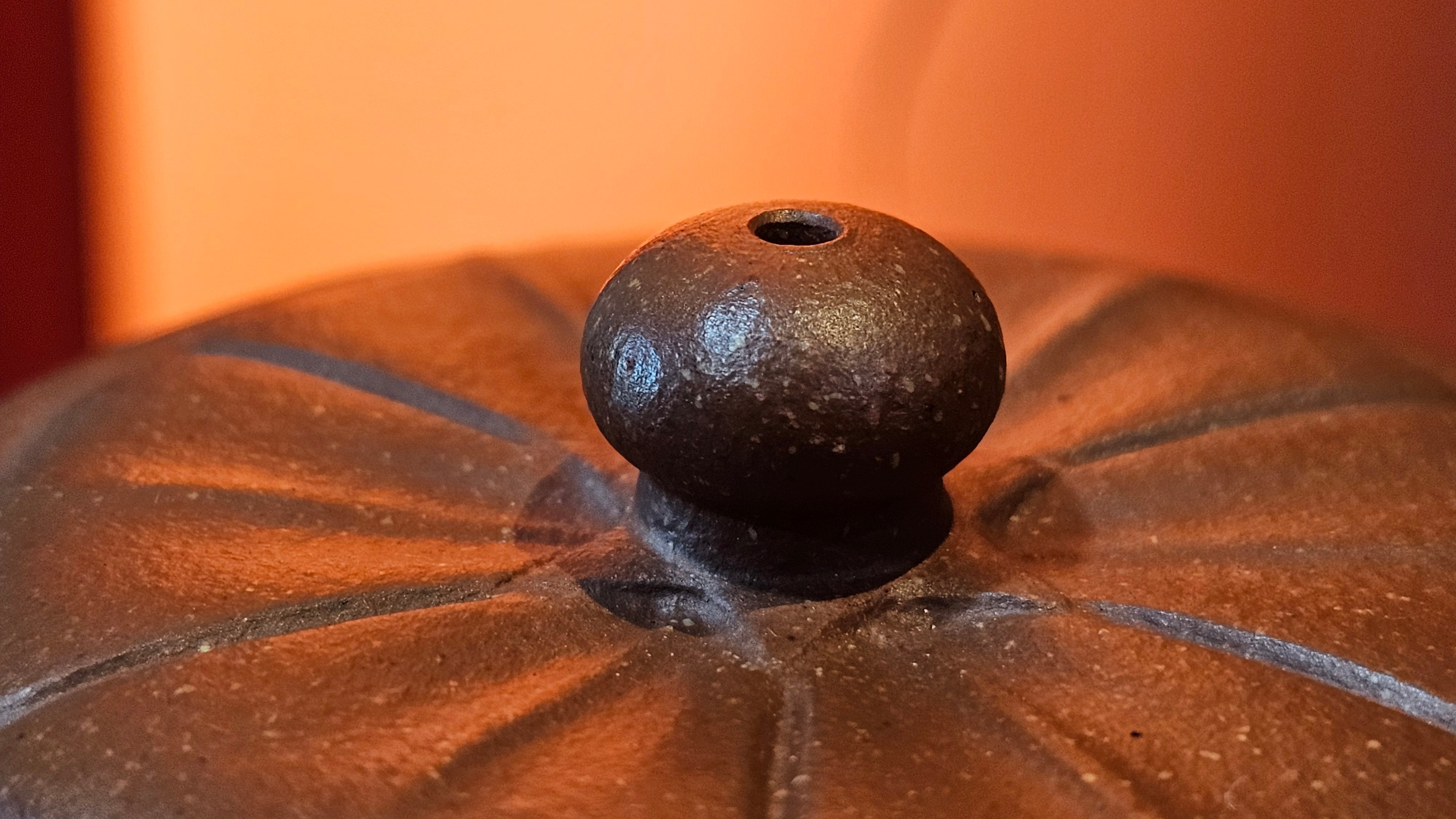 Lian Pu《莲蒲》, 162.8ml, Hong Jiang Po Ni 红降坡泥, by Craftsman Yang Pin Ting 杨聘婷 ~!Congratulations to Ms J.F.! 2007hrs 16th Nov 2025, New York, NY!