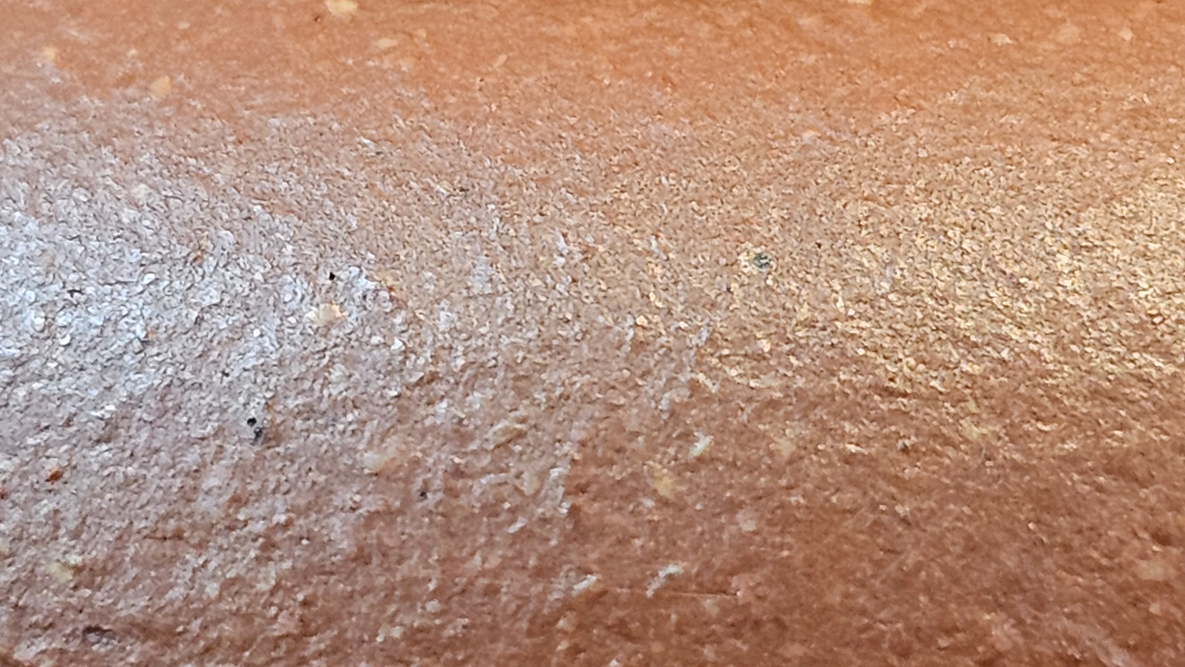 Lian Pu《莲蒲》, 162.8ml, Hong Jiang Po Ni 红降坡泥, by Craftsman Yang Pin Ting 杨聘婷 ~!Congratulations to Ms J.F.! 2007hrs 16th Nov 2025, New York, NY!