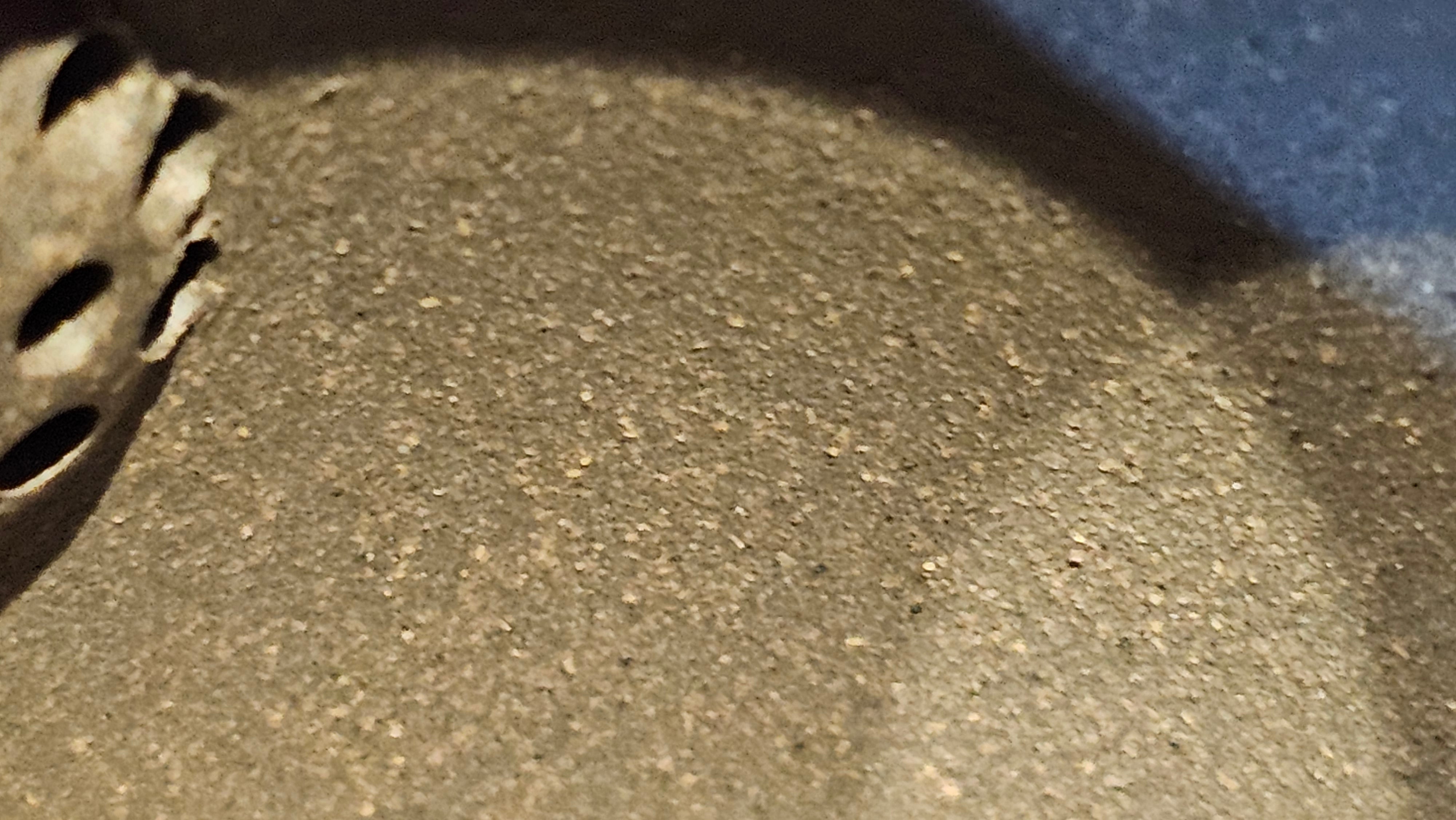 《秦权》"Qin Quan", 155.9ml, by L4 Assoc Master Artist Zhang Ke, Using Our Cao Family's Famous Qing Hui Duan Ni ~ Used and Endorsed by Premier Master Cao An Xiang 紫砂香炉一人曹安祥 ~ Congrats to Kungfu Master Mr J.G.! 1236hrs 31st Oct 2025, New Orleans, LA!