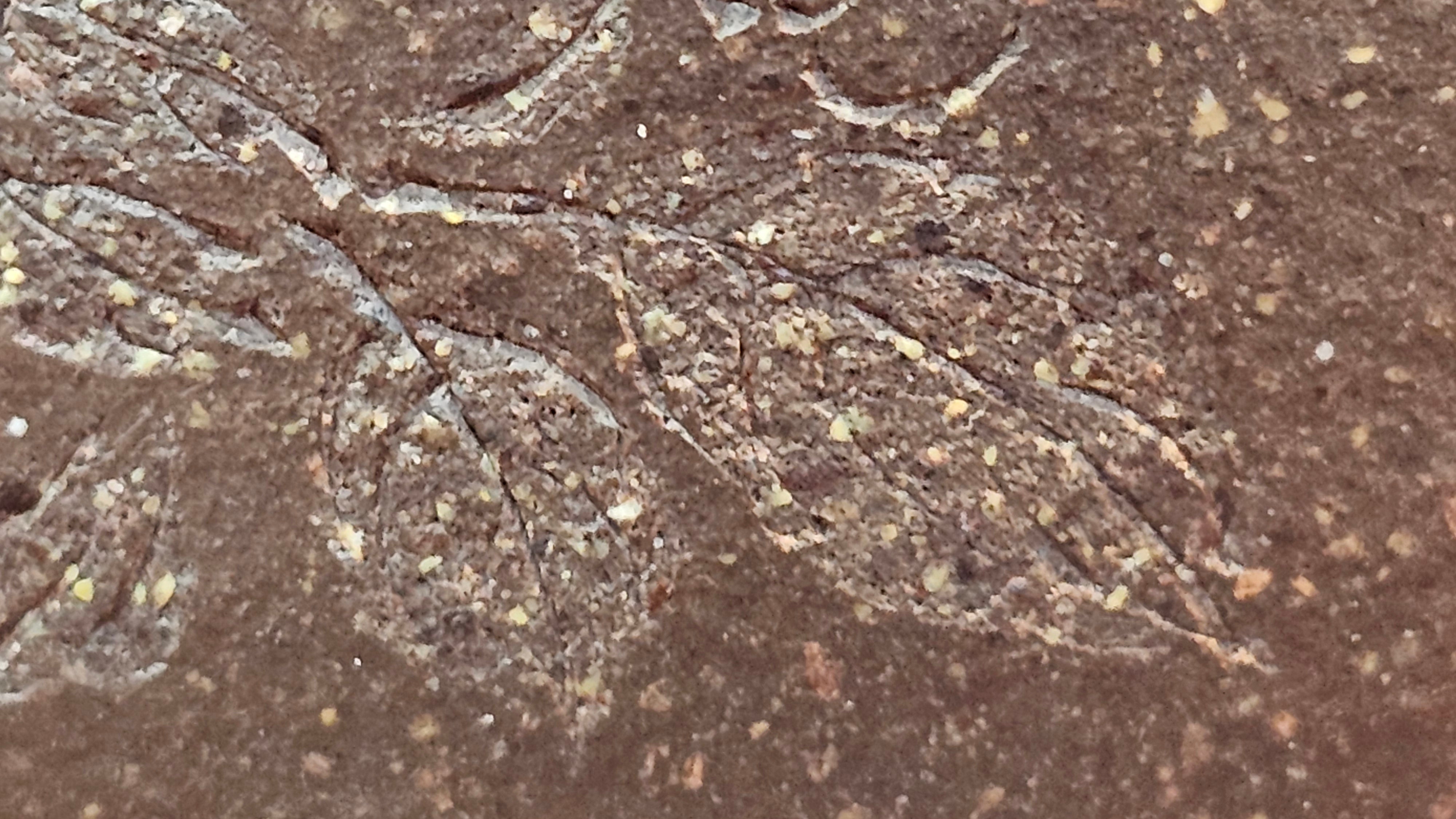 Niu Gai Jing Lan《牛盖井栏》, 166.2ml, Hei Zi Ni 黑紫泥, by our Craftsman Zhang Huan 张欢, with Plum Blossoms Engraving Art by Craftsman Nan Shan Lao Ren 南山老人 ~!Congratulations to Mr A.D.P.! 2359hrs 16th Nov 2025, Forest! Belgium🇧🇪!