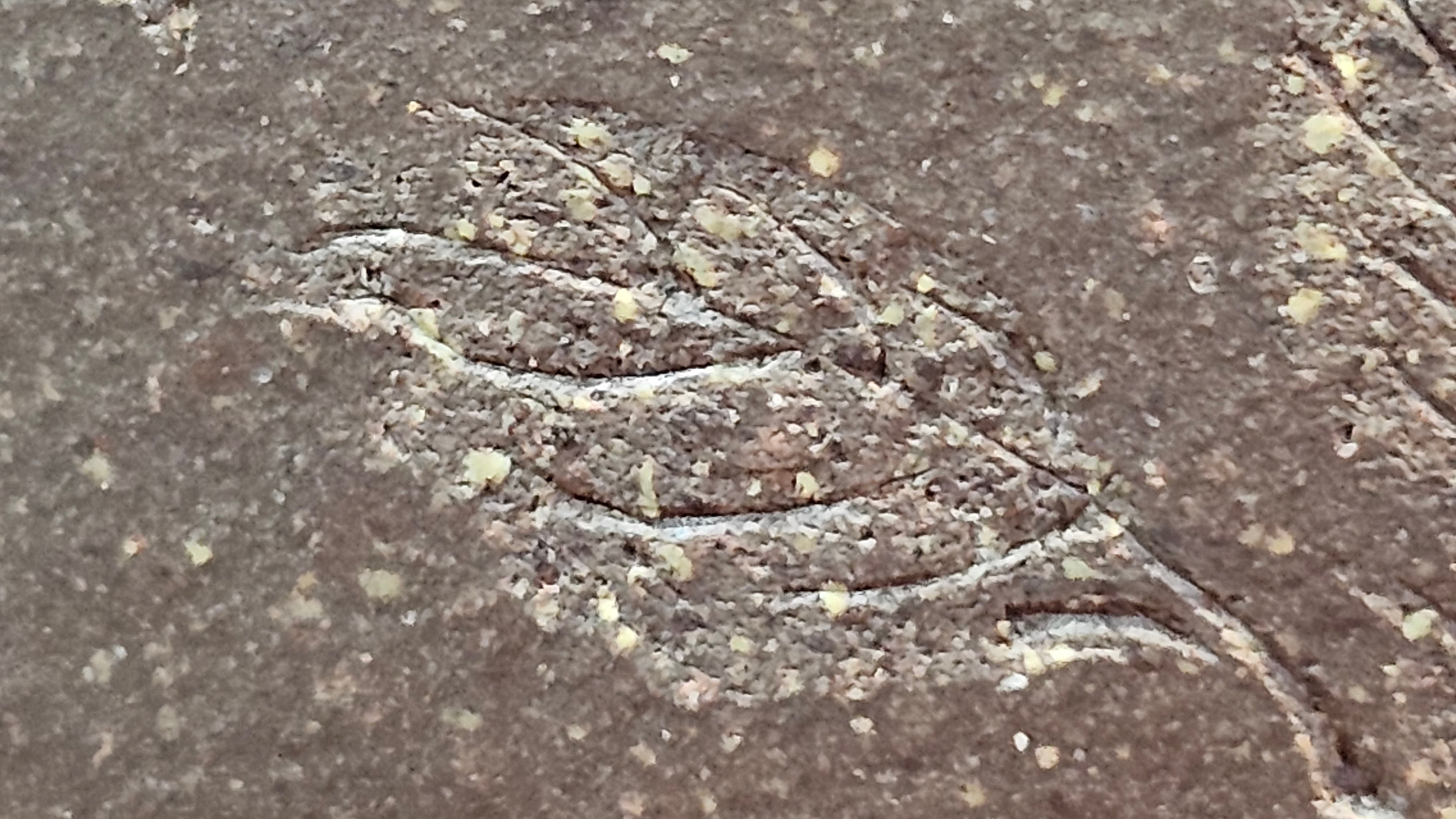 Niu Gai Jing Lan《牛盖井栏》, 166.2ml, Hei Zi Ni 黑紫泥, by our Craftsman Zhang Huan 张欢, with Plum Blossoms Engraving Art by Craftsman Nan Shan Lao Ren 南山老人 ~!Congratulations to Mr A.D.P.! 2359hrs 16th Nov 2025, Forest! Belgium🇧🇪!