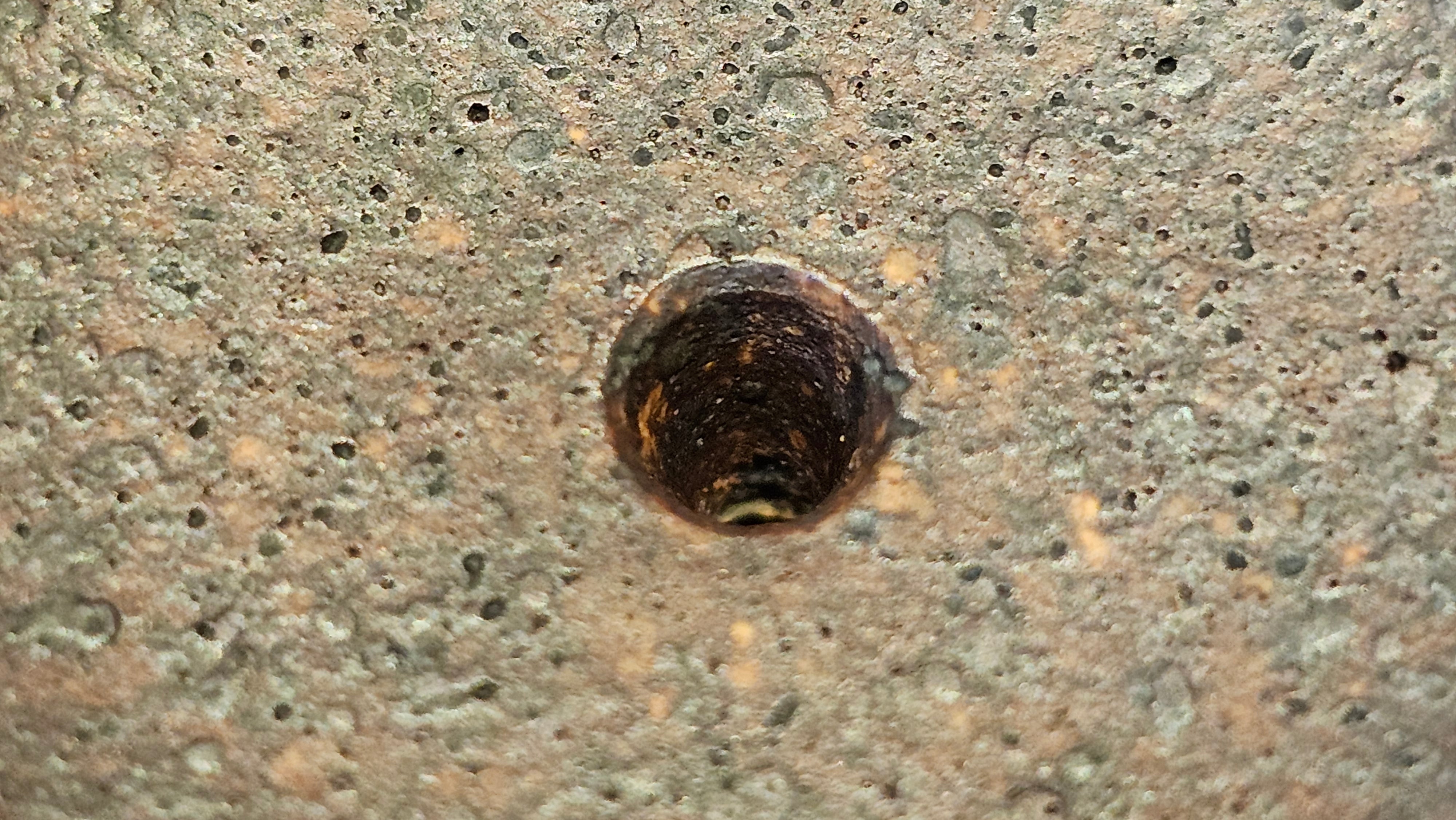 《巨轮珠》Ju Lun Zhu, 171.1ml, Using Our Cao Family's Rare and Cherished Bai Ma Zi 白麻子, Endorsed by Premier Master Cao An Xiang, Crafted by L4 Assoc Master Artist Zhang Ke ~ Congratulations to Mr A.M.R.! 1007hrs 14th Nov 2025, Talent! OR!