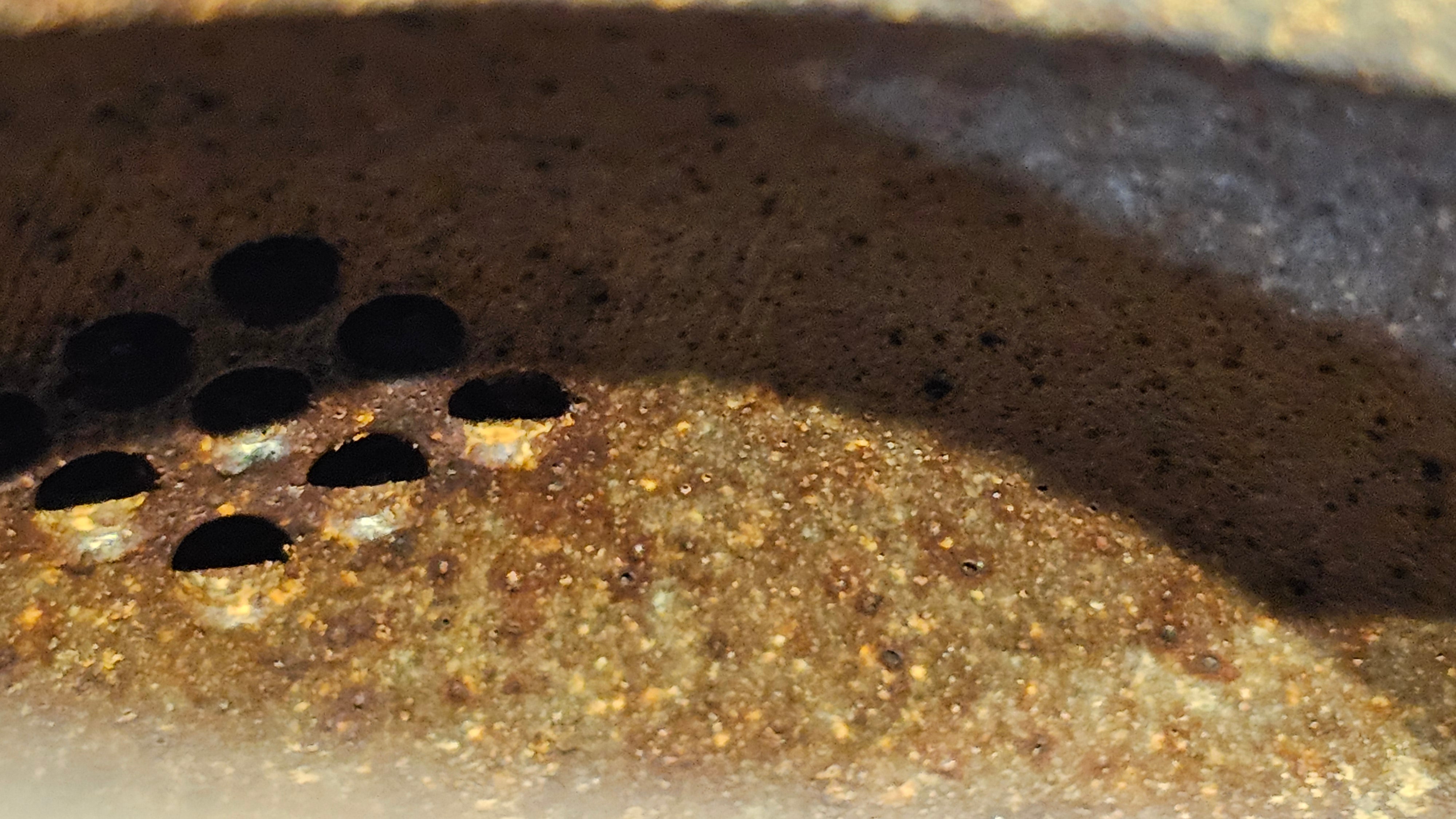 《明式西施》Ming Dynasty Era Style ~ Xi Shi, 265.6ml, Using Our Cao Family's Rare & Cherished Bai Ma Zi 白麻子, Endorsed by Premier Master Cao An Xiang, Crafted by L4 Assoc Master Artist Zhang Ke ~!Congratulations to Mr E.W.! 1251hrs 14th Nov 2025, Berkeley! CA!