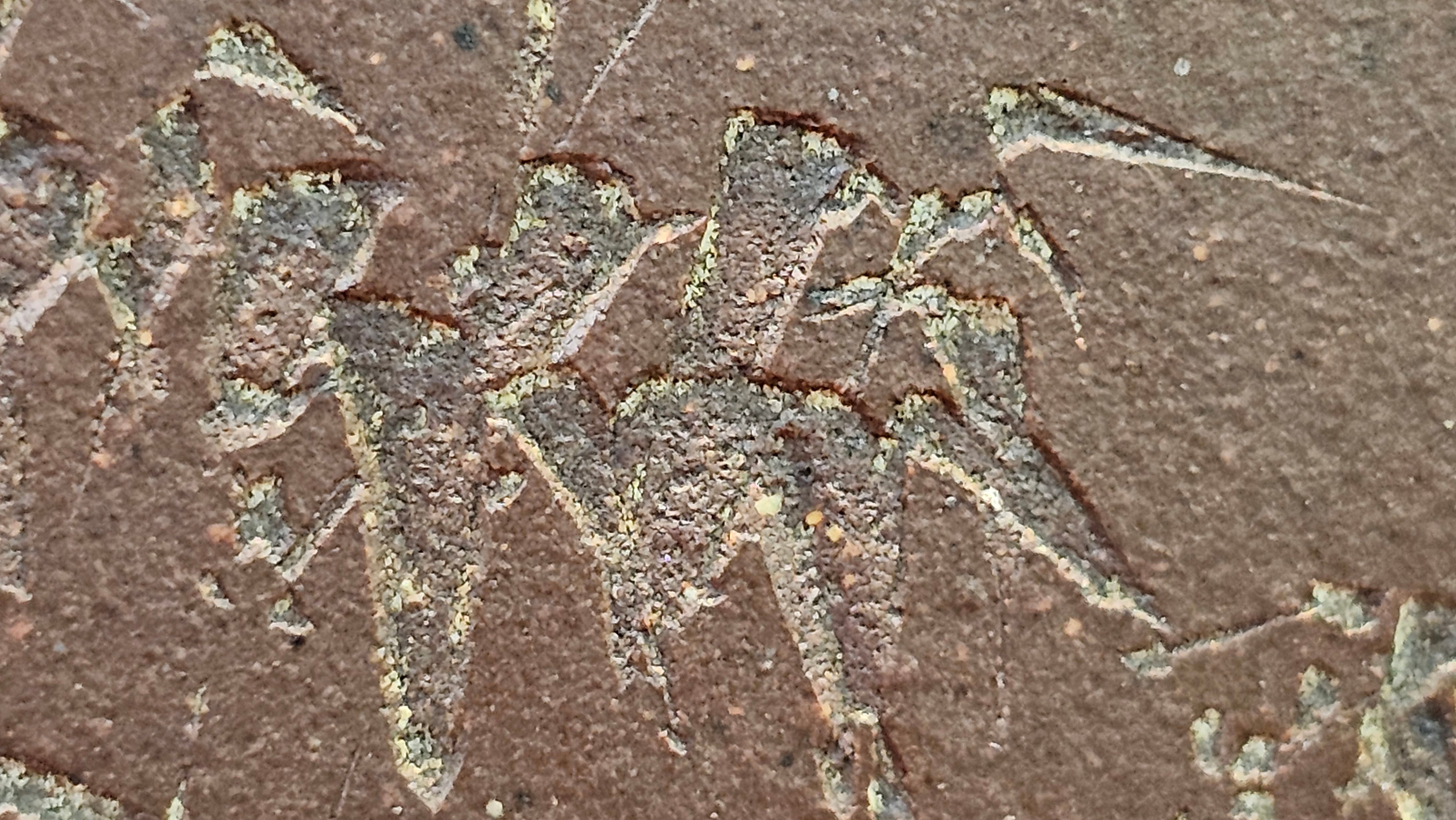 《亚明四方》"Ya Ming Si Fang", 195.5ml, Di Cao Qing Zi Ni, by L2A Senior Consummate Artist Yuan Hui 高级振兴技艺师兼高级工艺美术师～袁辉。 ~ Congratulations to Mr A.A.! 0235hrs 16hrs Nov 2025, Port Franks! Canada🇨🇦!