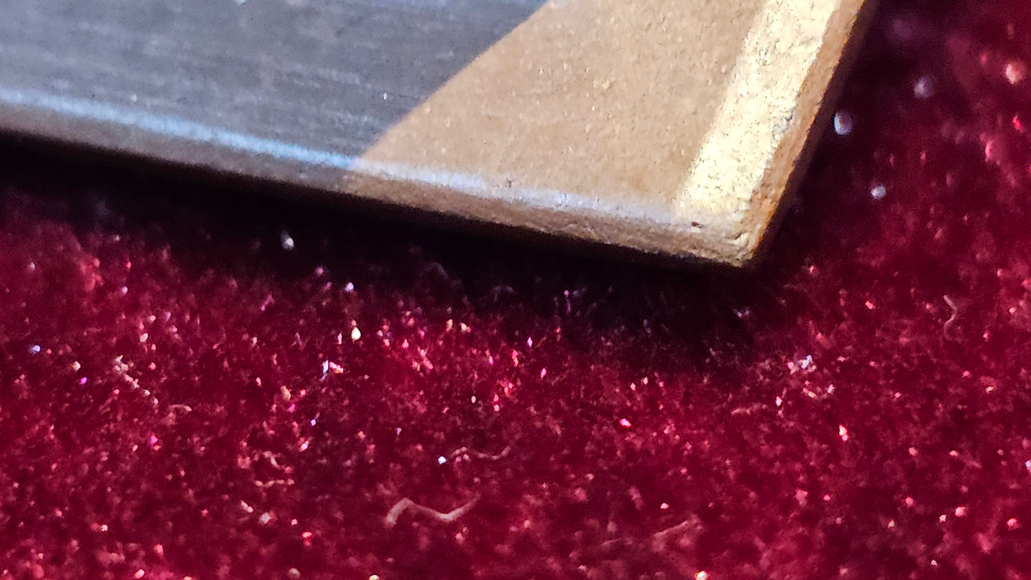 《亚明四方》"Ya Ming Si Fang", 195.5ml, Di Cao Qing Zi Ni, by L2A Senior Consummate Artist Yuan Hui 高级振兴技艺师兼高级工艺美术师～袁辉。 ~ Congratulations to Mr A.A.! 0235hrs 16hrs Nov 2025, Port Franks! Canada🇨🇦!