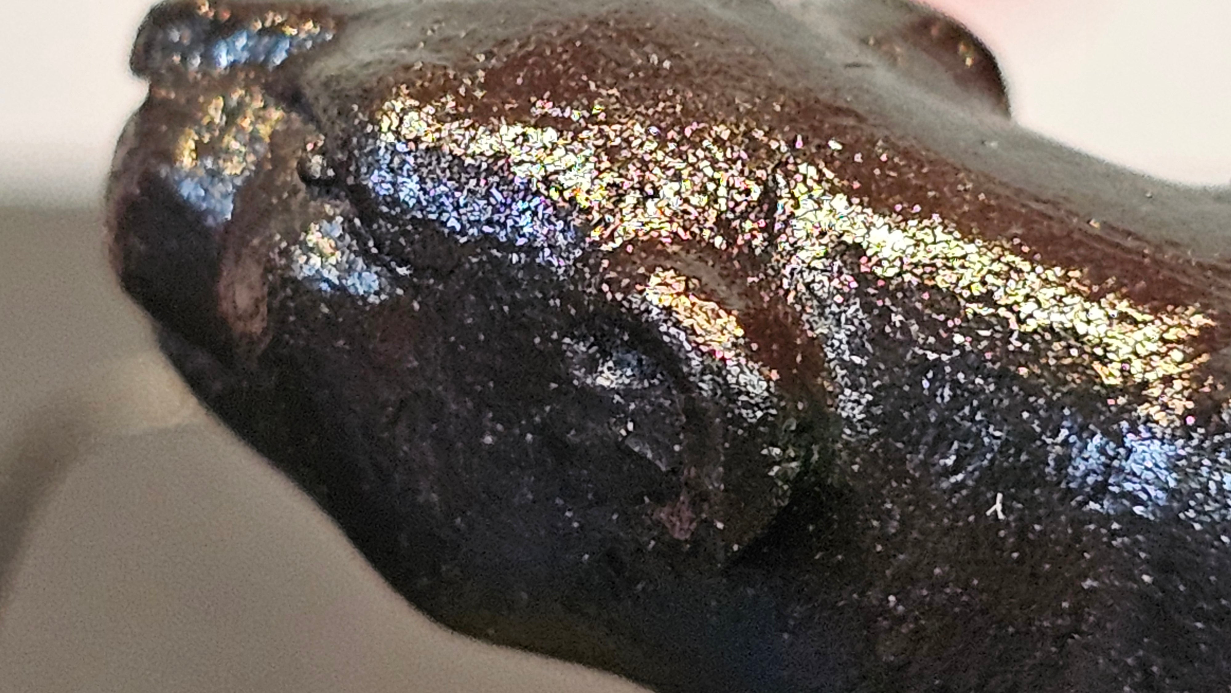 《风云之豹》"Feng Yun Zhi Bao", Di Cao Qing ~ Wu Hui Shao 底槽青~焐灰烧, 226.5ml, by L2A Senior Consummate Artist Yuan Hui 高级振兴技艺师兼高级工艺美术师～袁辉 ~ Congratulations to Mr A.A.! 1748hrs 21st Nov 2025, Port Franks! Canada🇨🇦!