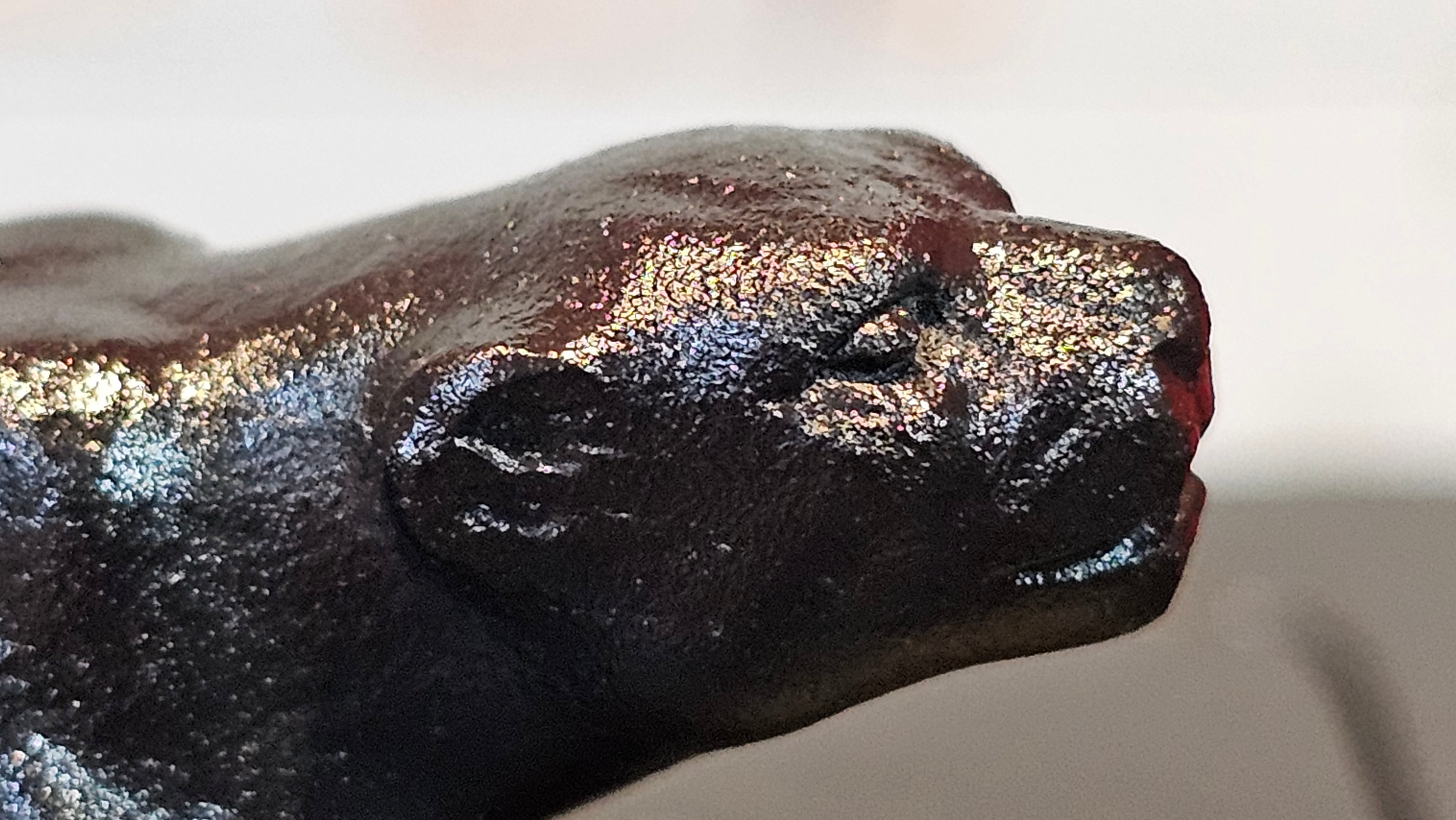 《风云之豹》"Feng Yun Zhi Bao", Di Cao Qing ~ Wu Hui Shao 底槽青~焐灰烧, 226.5ml, by L2A Senior Consummate Artist Yuan Hui 高级振兴技艺师兼高级工艺美术师～袁辉 ~ Congratulations to Mr A.A.! 1748hrs 21st Nov 2025, Port Franks! Canada🇨🇦!