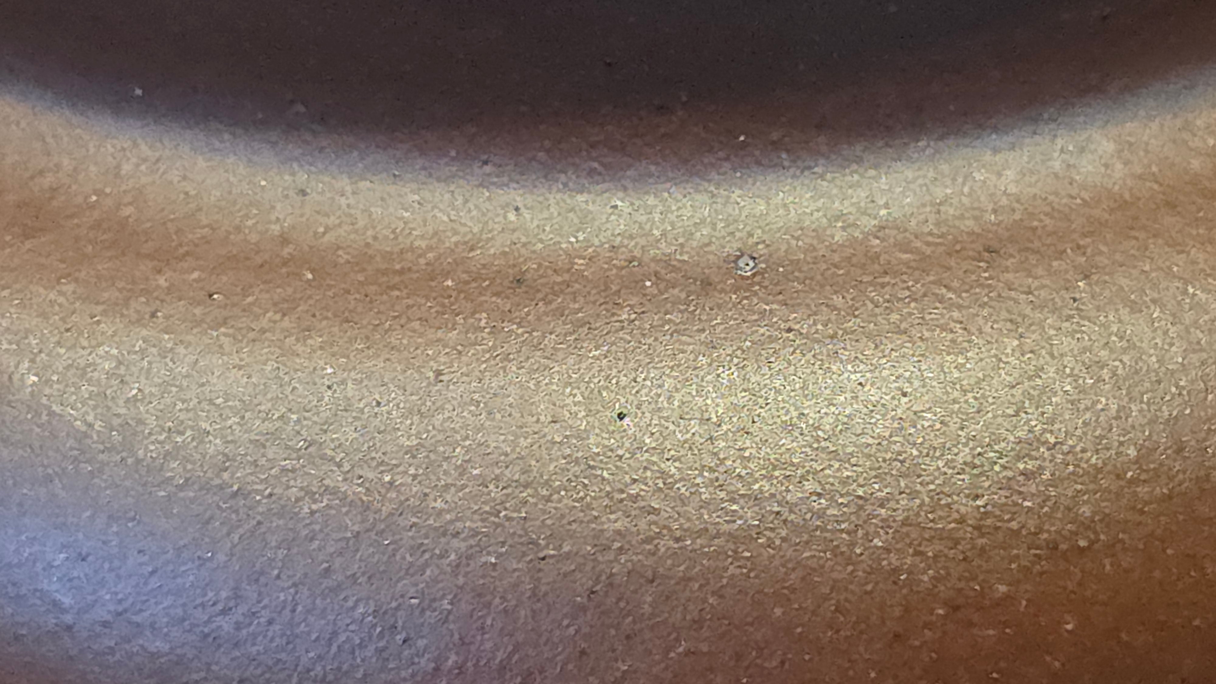 《宫灯》"Gong Deng", 195.3ml, Huang Long Yuan company's National-Authenticated Huang Long Shan 4th Quarry Di Cao Qing, Crafted by L3A Consummate Master Artist Li Yan Ru 李艳如。