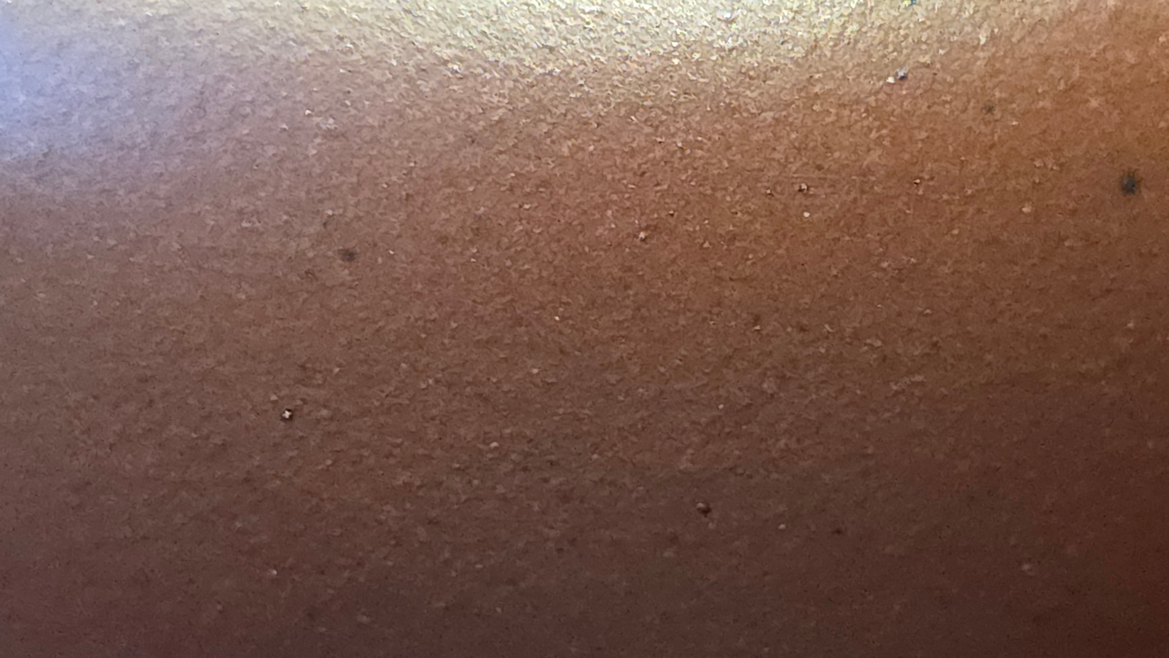 《宫灯》"Gong Deng", 195.3ml, Huang Long Yuan company's National-Authenticated Huang Long Shan 4th Quarry Di Cao Qing, Crafted by L3A Consummate Master Artist Li Yan Ru 李艳如。