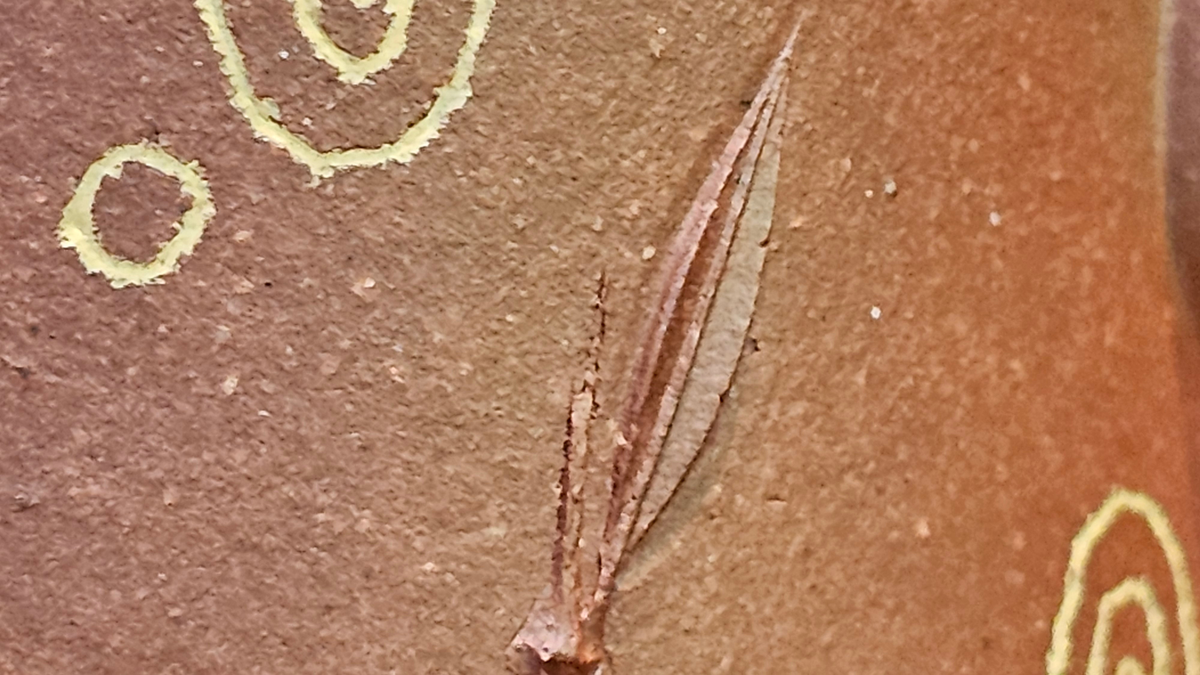 《湘妃竹段》"Xiang Fei Zhu Duan", 244.8ml, Di Cao Qing Zi Ni with Duan Ni Clay embellishments for the characteristic "Xiang Fei Bamboo" Patterns, by L4 Assoc Master Yu Chun Lei 俞春雷 ~!Congratulations to Kungfu Master J.G.! 1122hrs 23rd Nov 2025, New Orleans! LA!