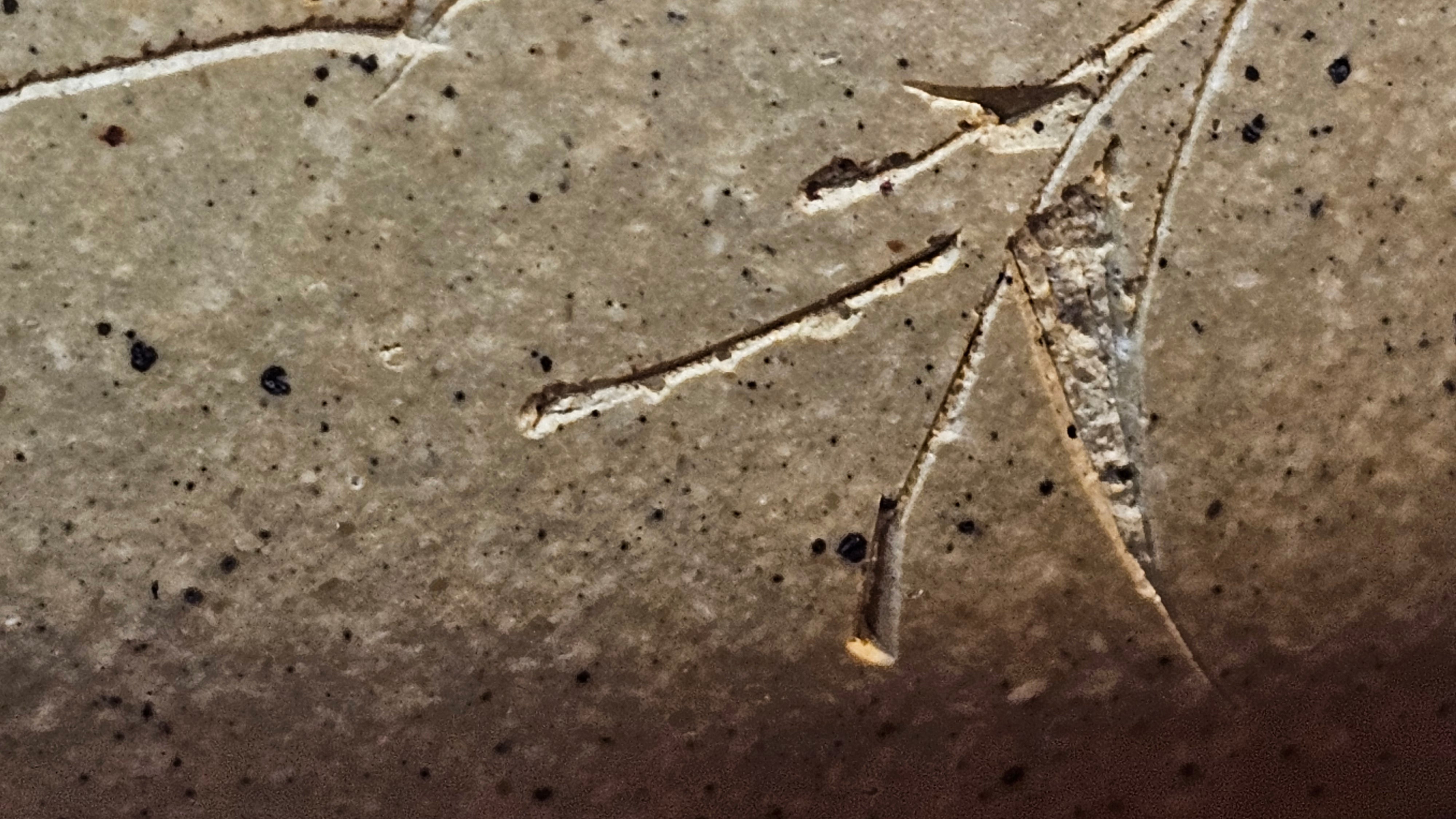 Jing Zhou Shi Piao 景舟石瓢, Zhi Ma Duan Ni 芝麻段泥, 186.8ml, by Craftsman Gu Xiao Ming 顾小明; Engraving of Bamboo & Poem in Kai Shu 竹与诗词(楷书)刻绘 by Craftsman Ruo Xi 若兮 ~ Congratulations!to Mr M.B.! 0132hrs 26th Nov 2025, Los Angeles! CA!