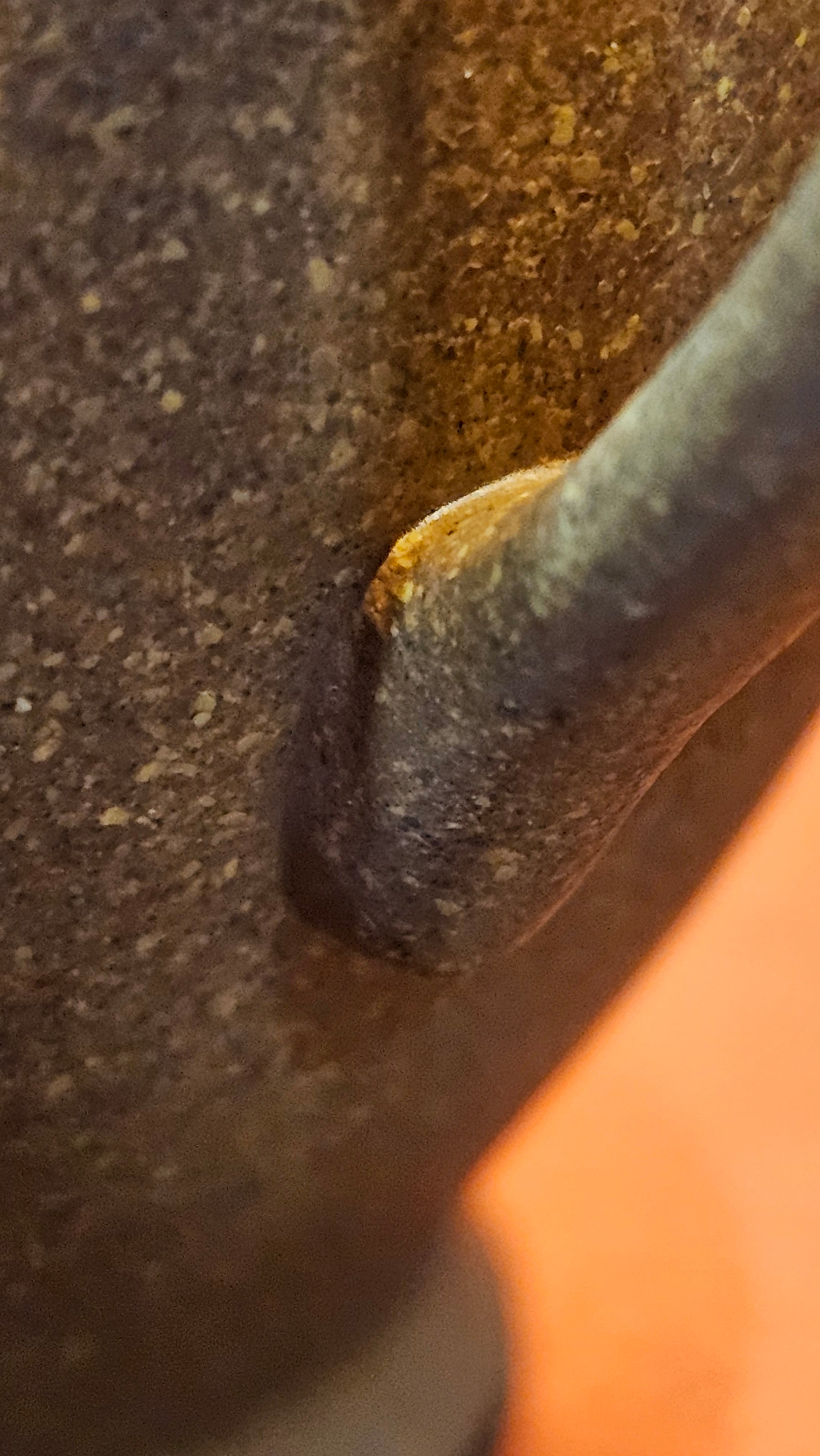 Gao Xiu Hu《高秀壶》, 181.2ml, Bao Shan Duan Ni 宝山段泥, by Craftsman Zhu Shu 朱舒 ~ With Engraving of Bamboos and Verse in Zhuan Shu 篆书 by Craftsman Yi Cheng 逸成!~Congratulations to Mr A.D.P.! 2242hrs 27th Nov 2025, Forest! Belgium🇧🇪!