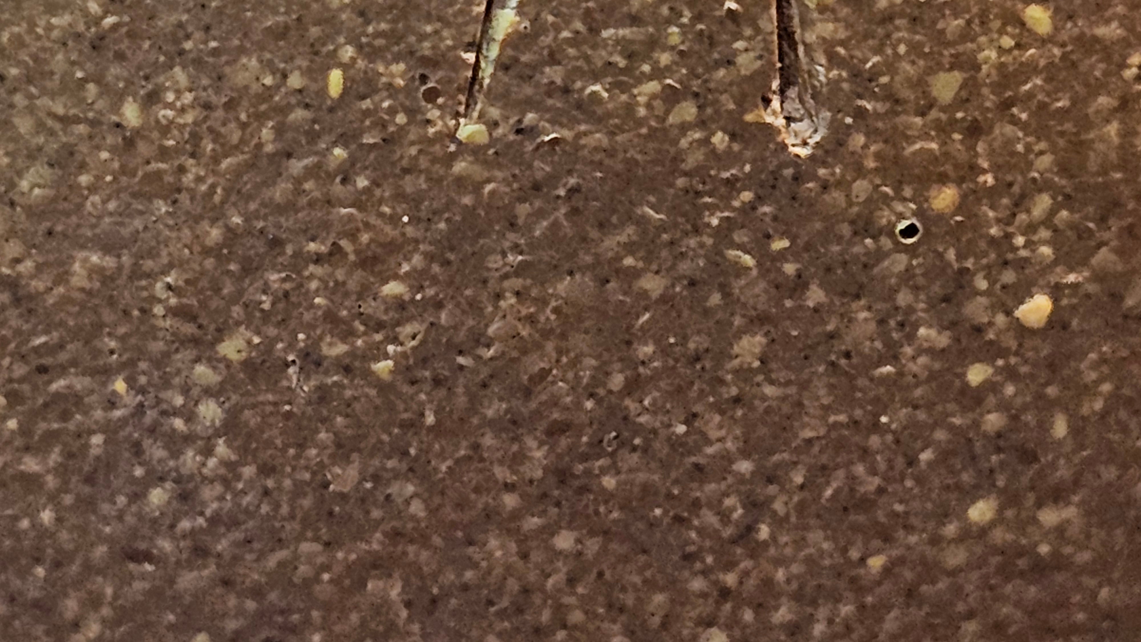 Gao Xiu Hu《高秀壶》, 181.2ml, Bao Shan Duan Ni 宝山段泥, by Craftsman Zhu Shu 朱舒 ~ With Engraving of Bamboos and Verse in Zhuan Shu 篆书 by Craftsman Yi Cheng 逸成!~Congratulations to Mr A.D.P.! 2242hrs 27th Nov 2025, Forest! Belgium🇧🇪!