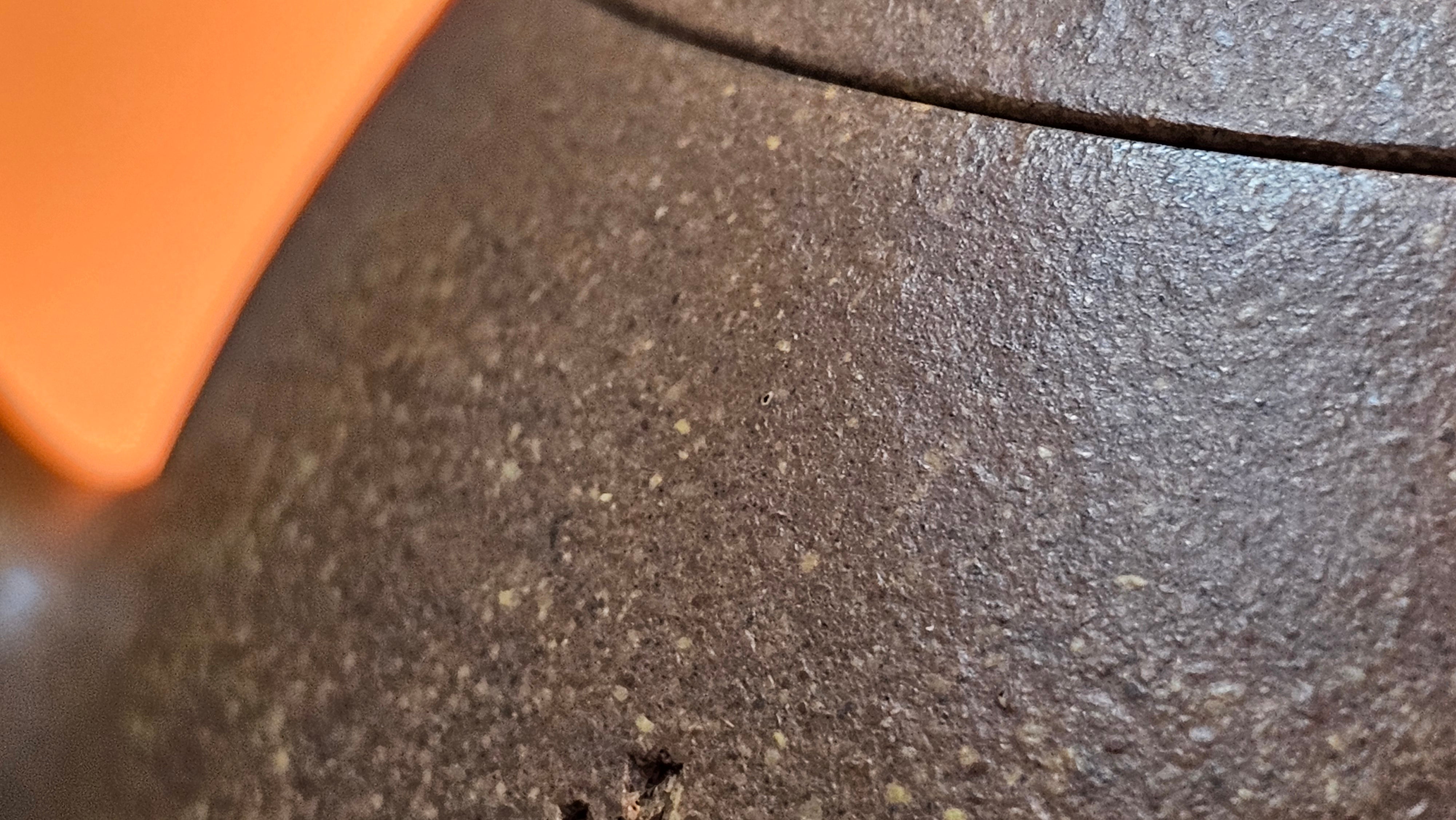 Gao Xiu Hu《高秀壶》, 181.2ml, Bao Shan Duan Ni 宝山段泥, by Craftsman Zhu Shu 朱舒 ~ With Engraving of Bamboos and Verse in Zhuan Shu 篆书 by Craftsman Yi Cheng 逸成!~Congratulations to Mr A.D.P.! 2242hrs 27th Nov 2025, Forest! Belgium🇧🇪!