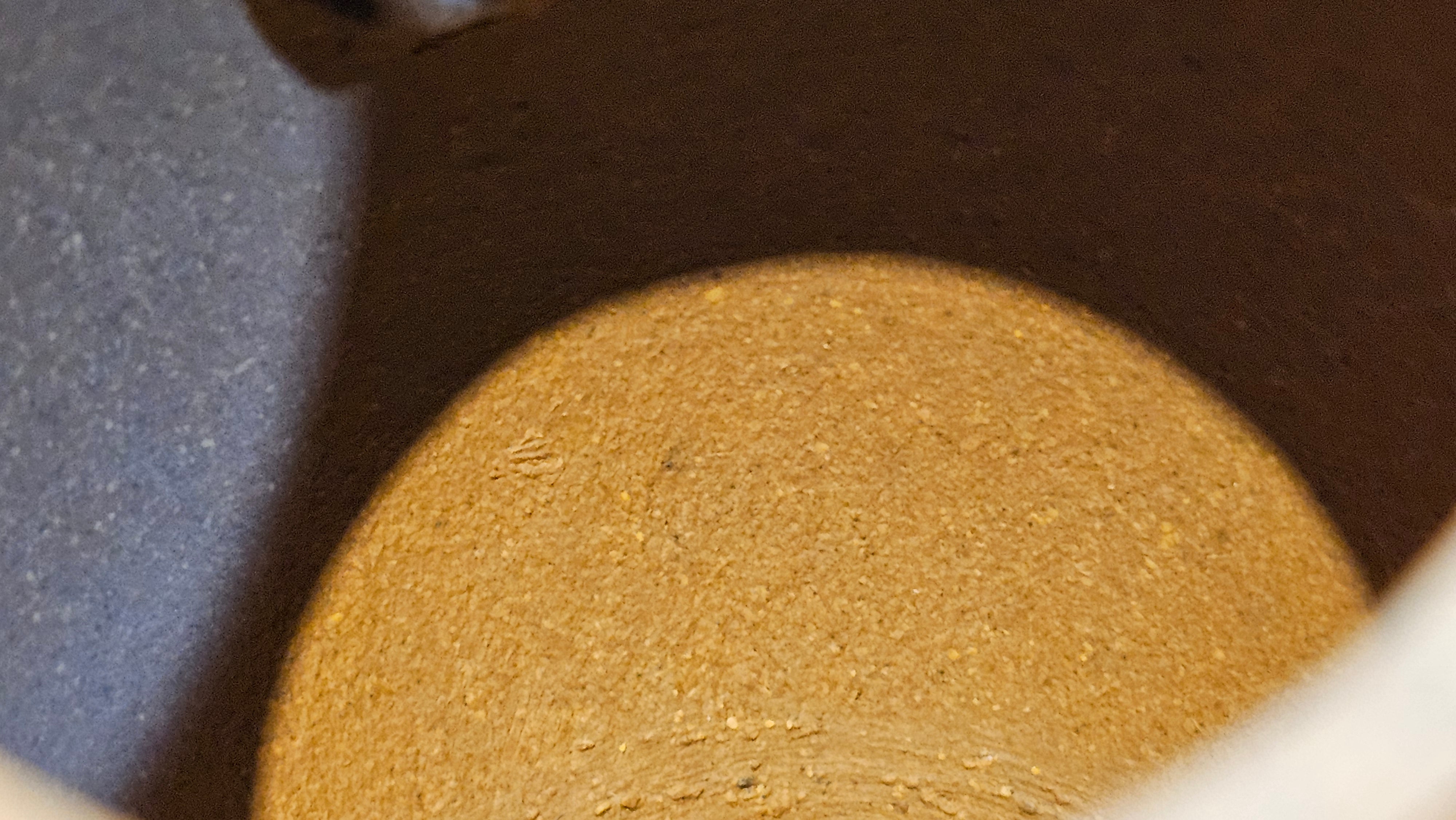 Gao Xiu Hu《高秀壶》, 181.2ml, Bao Shan Duan Ni 宝山段泥, by Craftsman Zhu Shu 朱舒 ~ With Engraving of Bamboos and Verse in Zhuan Shu 篆书 by Craftsman Yi Cheng 逸成!~Congratulations to Mr A.D.P.! 2242hrs 27th Nov 2025, Forest! Belgium🇧🇪!