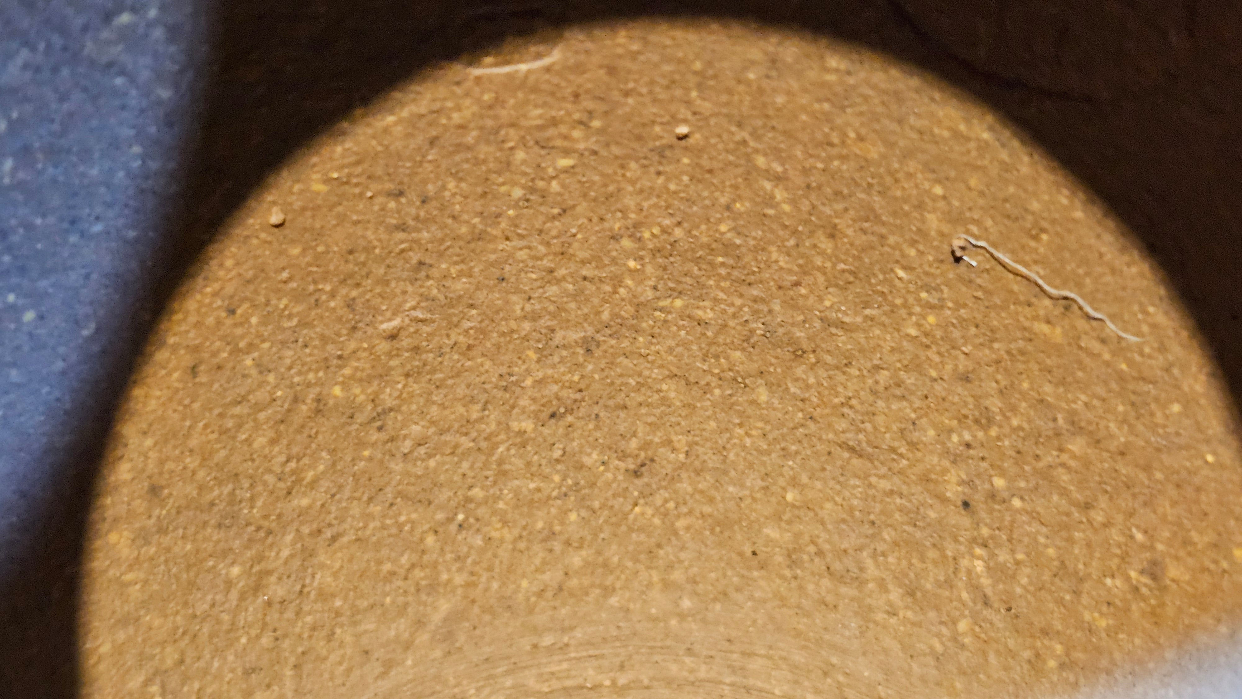 Gao Xiu Hu《高秀壶》, 181.2ml, Bao Shan Duan Ni 宝山段泥, by Craftsman Zhu Shu 朱舒 ~ With Engraving of Bamboos and Verse in Zhuan Shu 篆书 by Craftsman Yi Cheng 逸成!~Congratulations to Mr A.D.P.! 2242hrs 27th Nov 2025, Forest! Belgium🇧🇪!