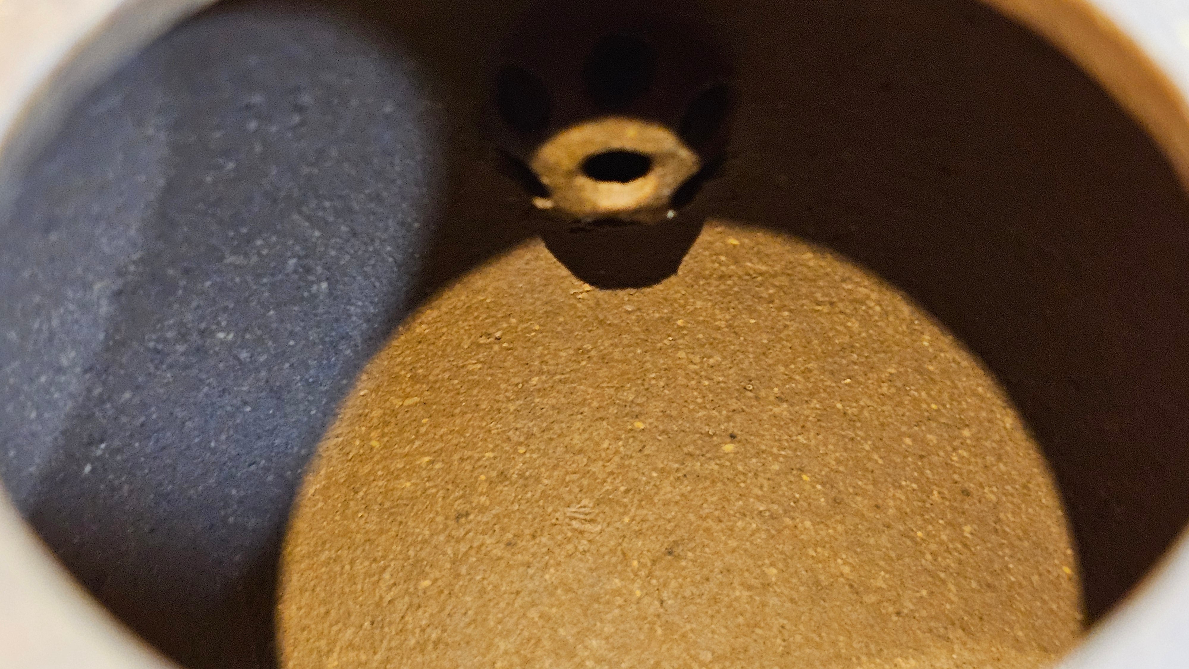 Gao Xiu Hu《高秀壶》, 181.2ml, Bao Shan Duan Ni 宝山段泥, by Craftsman Zhu Shu 朱舒 ~ With Engraving of Bamboos and Verse in Zhuan Shu 篆书 by Craftsman Yi Cheng 逸成!~Congratulations to Mr A.D.P.! 2242hrs 27th Nov 2025, Forest! Belgium🇧🇪!