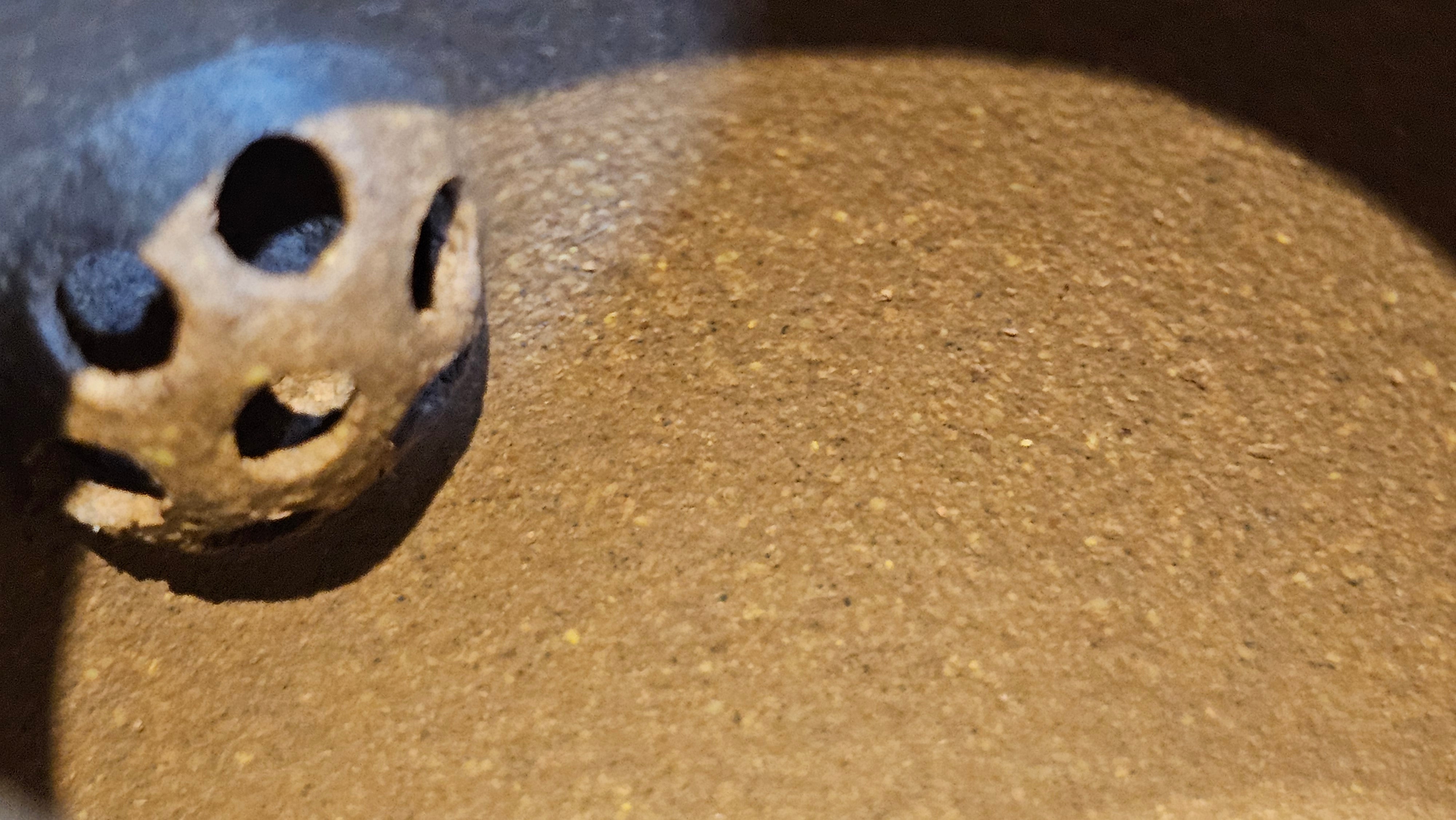 Gao Xiu Hu《高秀壶》, 182.9ml, Bao Shan Duan Ni 宝山段泥, by Craftsman Zhu Shu 朱舒 ~ With Engraving of Bamboos and Verse in Zhuan Shu 篆书 by Craftsman Yi Cheng 逸成!~ Congratulations!to Ms E.A.! 0009hrs 28th Nov 2025, Vineland! NJ!