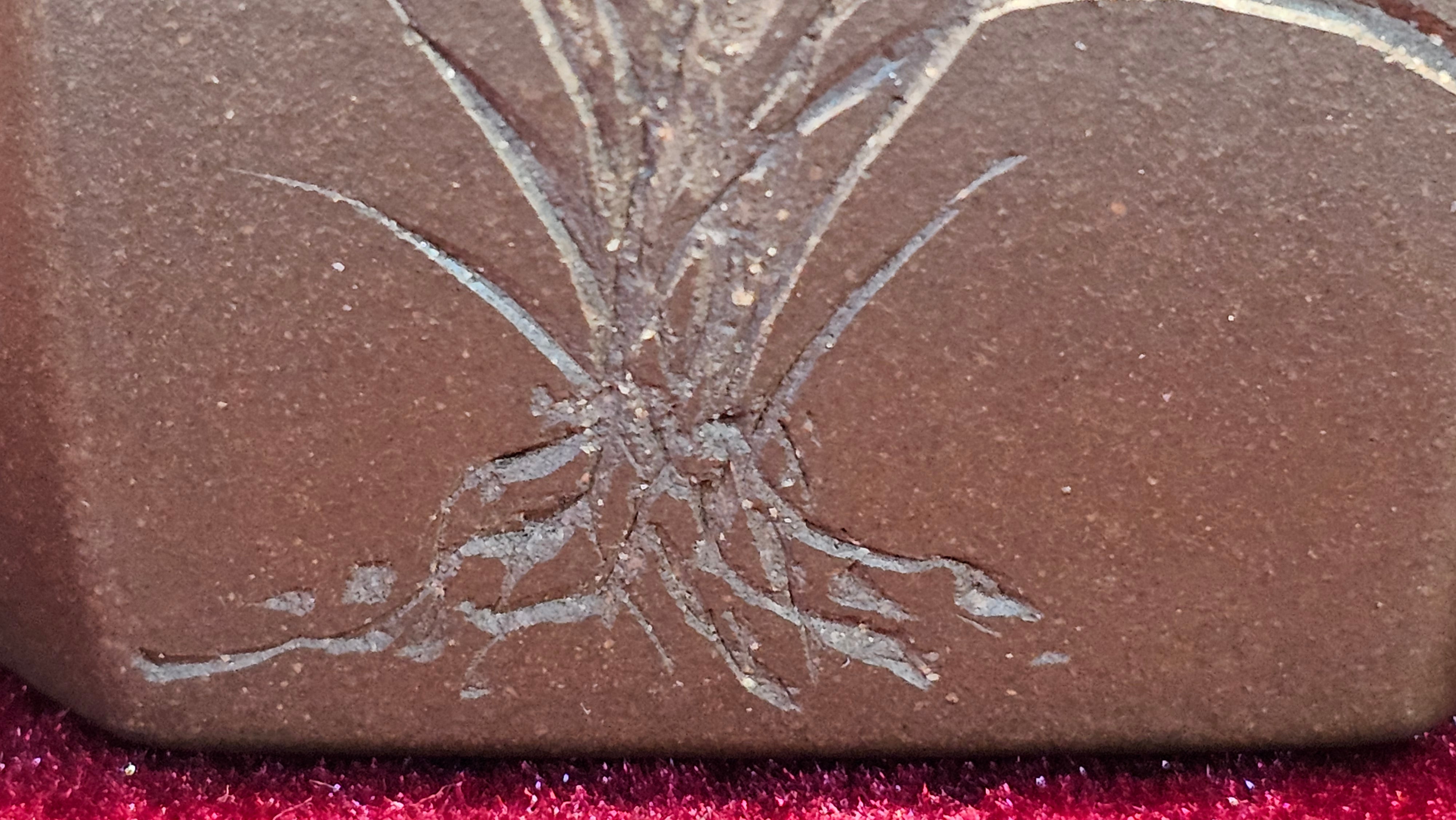 《凌雅六方》~ 六件套组 "Ling Ya Liu Si Fang", WORLD DEBUT! SET of Six (Pitcher, Matching Twin Cups & Twin Trays), Di Cao Qing, by L2A Senior Consummate Artist Yuan Hui! Orchid Engraving by Jin Li ~ Congratulations!to Mr L.C.! 2158hrs 28th Nov 2025, Taylors! SC!