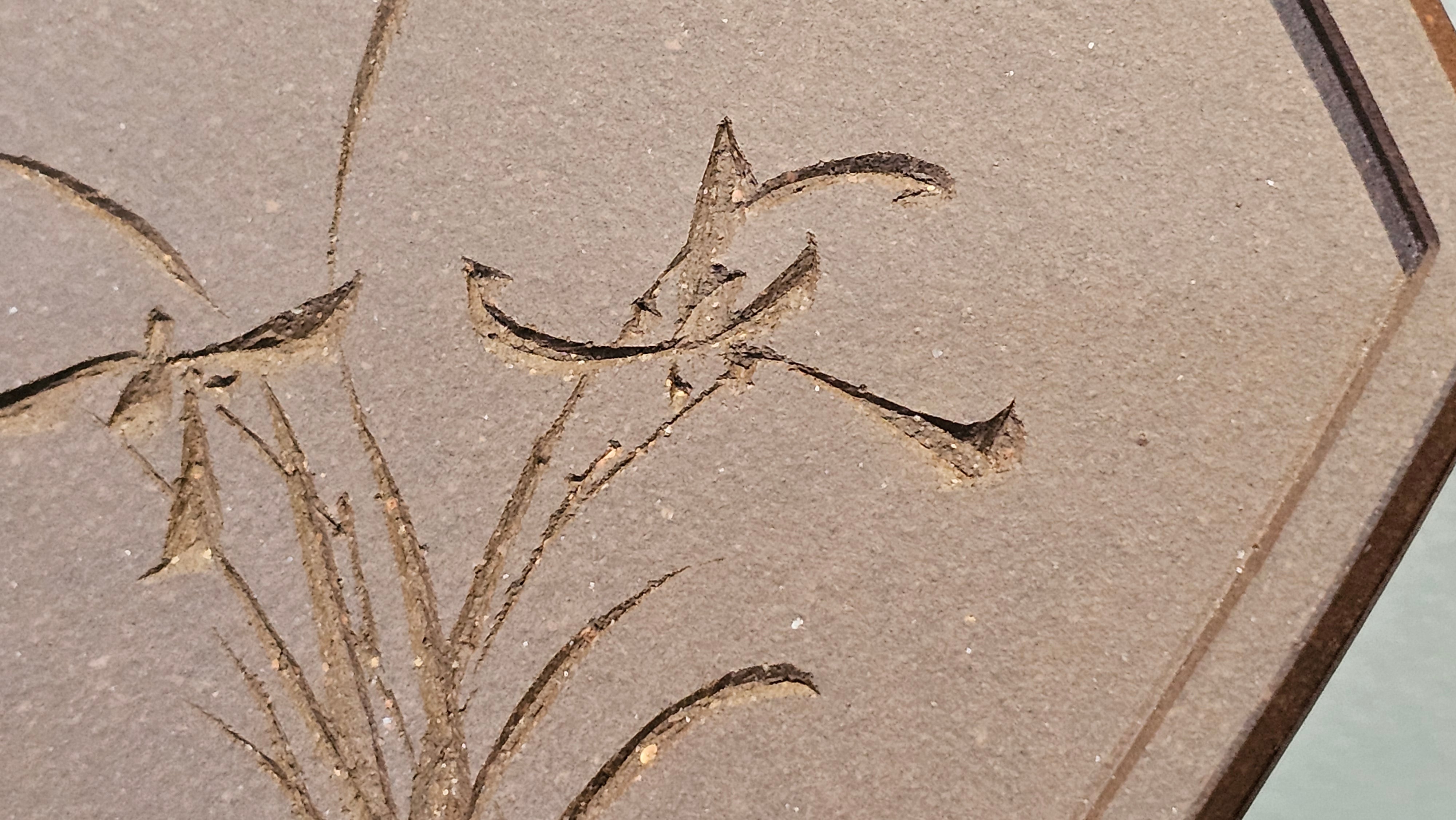 《凌雅六方》~ 六件套组 "Ling Ya Liu Si Fang", WORLD DEBUT! SET of Six (Pitcher, Matching Twin Cups & Twin Trays), Di Cao Qing, by L2A Senior Consummate Artist Yuan Hui! Orchid Engraving by Jin Li ~ Congratulations!to Mr L.C.! 2158hrs 28th Nov 2025, Taylors! SC!