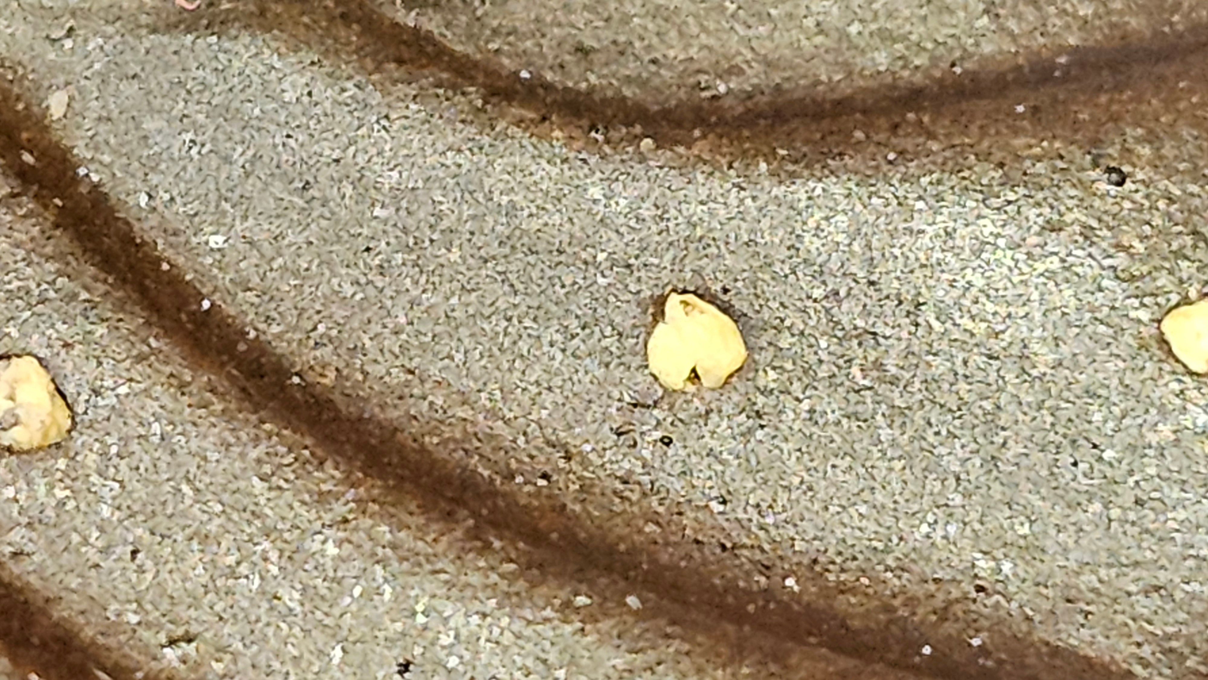 《禅莲宝瓶》"Chan Lian Bao Ping", 215.9ml, High Fired ~ Gao Wen Zi Ni, Ornate Ru Yi Motif Clay Sculpting! with Gold Appliqué! ~ Brand New Design & Crafted by L3A Consummate Master Artist Li Yan Ru ~ Congrats to Mr J.G.! 1235hrs 29th Nov, New Orleans! LA!